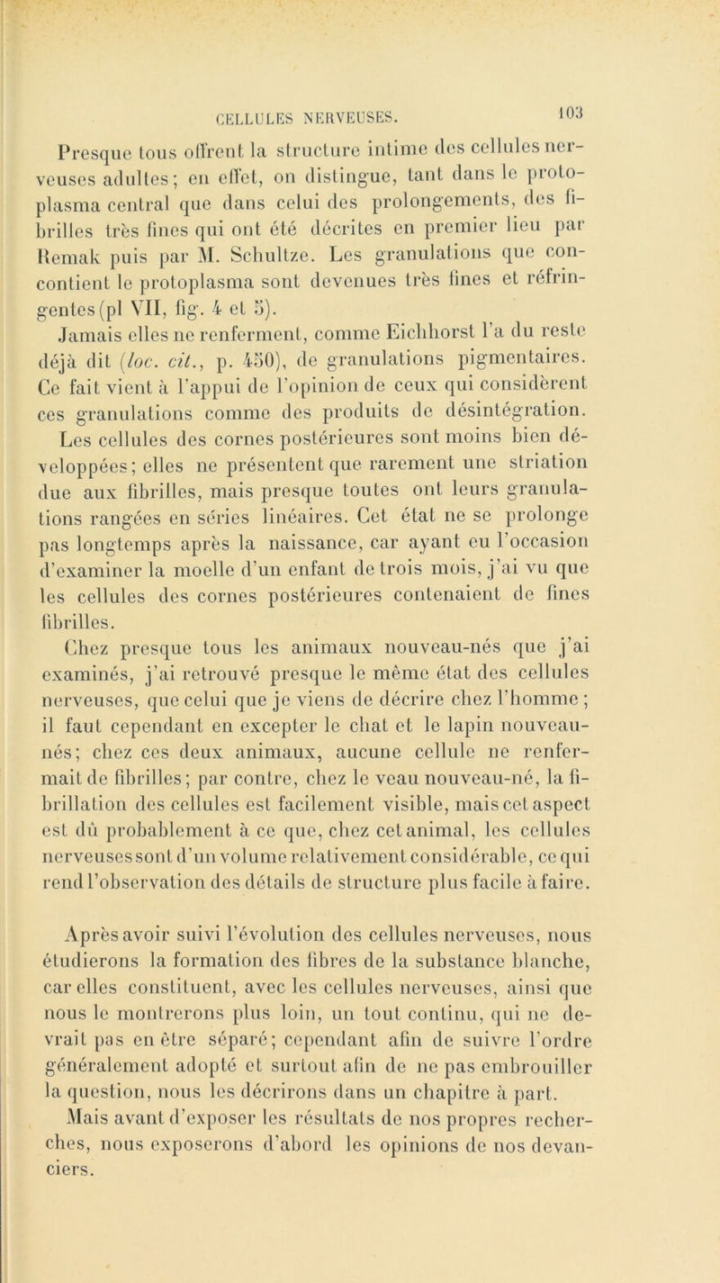 Presque tous oll'reut la structure intime des cellules ner- veuses adultes; en elTet, on distingue, tant dans le proto- plasma central que dans celui des prolongements, des fi- brilles très fines qui ont été décrites en premier lieu pai Itemak puis par M. Schultze. Les granulations que con- contient le protoplasma sont devenues très fines et réfrin- gentes (pl VII, fig. 4 et 5). Jamais elles ne renferment, comme Eicliliorst l’a du reste déjà dit [loc. cit., p. 450), de granulations pigmentaires. Ce fait vient à l’appui de l’opinion de ceux qui considèrent ces granulations comme des produits de désintégration. Les cellules des cornes postérieures sont moins bien dé- \eloppées; elles ne présentent que rarement une striation due aux fibrilles, mais presque toutes ont leurs granula- tions rangées en séries linéaires. Cet état ne se prolonge pas longtemps après la naissance, car ayant eu l’occasion d’examiner la moelle d’un enfant de trois mois, j’ai vu que les cellules des cornes postérieures contenaient de fines fibrilles. Chez presque tous les animaux nouveau-nés que j’ai examinés, j’ai retrouvé presque le même état des cellules nerveuses, que celui que je viens de décrire chez l’homme ; il faut cependant en excepter le chat et le lapin nouveau- nés; chez ces deux animaux, aucune cellule ne renfer- mait de fibrilles; par contre, chez le veau nouveau-né, la fi- brillation des cellules est facilement visible, mais cet aspect est du probablement à ce que, chez cet animal, les cellules nerveuses sont d’un volume relativement considérable, ce qui rend l’observation des détails de structure plus facile à faire. Ap rès avoir suivi l’évolution des cellules nerveuses, nous étudierons la formation des libres de la substance blanche, car elles constituent, avec les cellules nerveuses, ainsi que nous le montrerons plus loin, un tout continu, qui ne de- vrait pas en être séparé; cependant afin de suivre l’ordre généralement adopté et surtout afin de ne pas embrouiller la question, nous les décrirons dans un chapitre à part. Mais avant d’exposer les résultats de nos propres recher- ches, nous exposerons d’abord les opinions de nos devan- ciers.