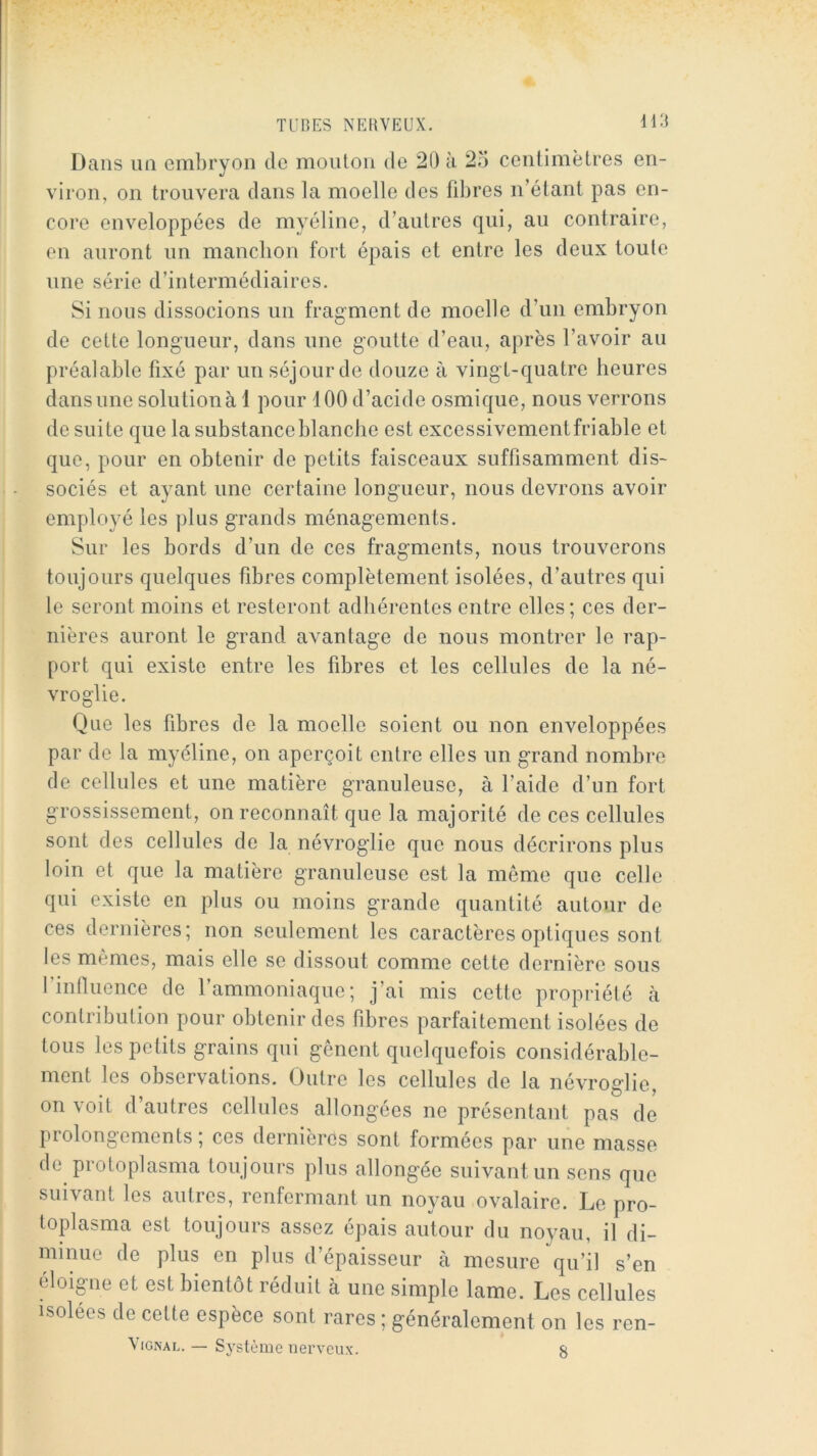 Dans im embryon de mouton de 20 à 25 centimètres en- viron, on trouvera dans la moelle des fibres n’étant pas en- core enveloppées de myéline, d’autres qui, au contraire, en auront un manchon fort épais et entre les deux toute une série d’intermédiaires. Si nous dissocions un fragment de moelle d’un embryon de cette longueur, dans une goutte d’eau, après l’avoir au préalable fixé par un séjour de douze à vingt-quatre heures dans une solution à 1 pour 100 d’acide osmique, nous verrons de suite que la substance blanche est excessivement friable et que, pour en obtenir de petits faisceaux suffisamment dis- sociés et ayant une certaine longueur, nous devrons avoir employé les plus grands ménagements. Sur les bords d’un de ces fragments, nous trouverons toujours quelques fibres complètement isolées, d’autres qui le seront moins et resteront adhérentes entre elles; ces der- nières auront le grand avantage de nous montrer le rap- port qui existe entre les fibres et les cellules de la né- vroglie. Que les fibres de la moelle soient ou non enveloppées par de la myéline, on aperçoit entre elles un grand nombre de cellules et une matière granuleuse, à l’aide d’un fort grossissement, on reconnaît que la majorité de ces cellules sont des cellules de la névroglie que nous décrirons plus loin et que la matière granuleuse est la même que celle qui existe en plus ou moins grande quantité autour de ces dernières; non seulement les caractères optiques sont les mêmes, mais elle se dissout comme cette dernière sous l’influence de l’ammoniaque; j’ai mis cette propriété à contribution pour obtenir des fibres parfaitement isolées de tous les petits grains qui gênent quelquefois considérable- ment les observations. Outre les cellules de la névroglie, on voit d’autres cellules allongées ne présentant pas de prolongements; ces dernières sont formées par une masse de protoplasma toujours plus allongée suivant un sens que suivant les autres, renfermant un noyau ovalaire. Le pro- toplasma est toujours assez épais autour du noyau, il di- minue de plus en plus d’épaisseur à mesure qu’il s’en éloigné et est bientôt réduit à une simple lame. Les cellules isolées de cette espèce sont rares ; généralement on les ren- ViGNAL. — Système nerveux. 8