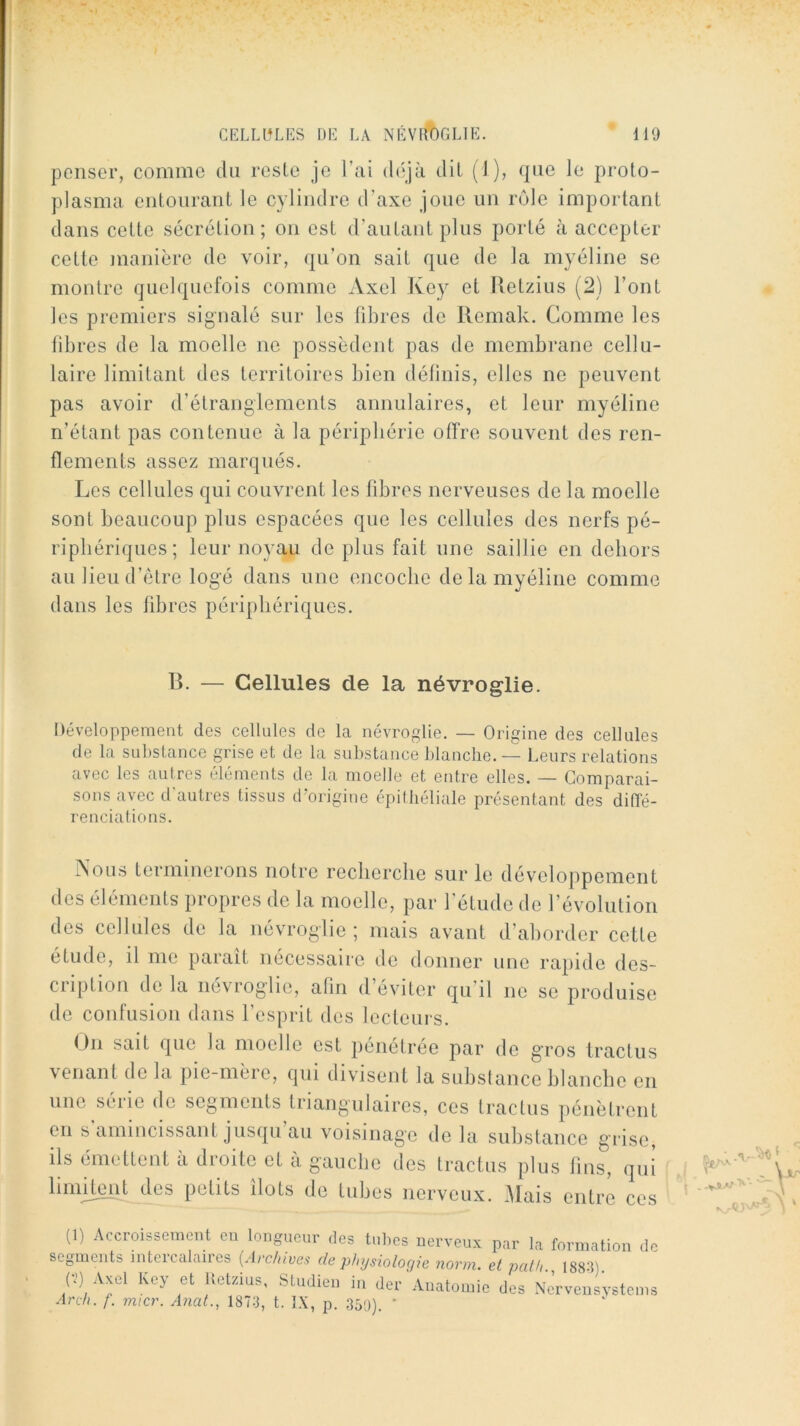 penser, comme du reste je l’ai déjà dit (1), que le proto- plasma entourant le cylindre d’axe joue un rôle important dans cette sécrétion; on est d’autant plus porté à accepter cette manière de voir, qu’on sait que de la myéline se montre quelquefois comme Axel Ivey et Retzius (2) l’ont les premiers signalé sur les libres de Ilemak. Comme les libres de la moelle ne possèdent pas de membrane cellu- laire limitant des territoires bien définis, elles ne peuvent pas avoir d’étranglements annulaires, et leur myéline n’étant pas contenue à la périphérie offre souvent des ren- flements assez marqués. Les cellules qui couvrent les fibres nerveuses de la moelle sont beaucoup plus espacées que les cellules des nerfs pé- riphériques ; leur noyau de plus fait une saillie en dehors au lieu d’être logé dans une encoche de la myéline comme dans les fibres périphériques. 13. — Cellules de la névroglie. Développement des cellules de la névroglie. — Origine des cellules de la substance grise et de la substance ])lanche. — Leurs relations avec les autres éléments de la moelle et entre elles. — Comparai- sons avec d'autres tissus d’origine épithéliale présentant des diiïé- renciations. Aous terminerons notre recherche sur le développement des éléments propres de la moelle, par l’étude de l’évolution des cellules de la névroglie ; mais avant d’aborder cette étude, il me parait nécessaire de donner une rapide des- cription de la névroglie, afin d’éviter qu’il ne se produise de confusion dans l’esprit des lecteurs. On sait que la moelle est pénétrée par de gros tractus venant de la pie-mère, qui divisent la substance blanche en une série de segments triangulaires, ces tractus pénètrent en s amincissant jusqu au voisinage de la substance grise, ils émettent à droite et a gauche des tractus plus fins, qni limjj^t des petits îlots de tubes nerveux. Mais entre ces (1) Accroissemcnl eu longueur des tubes uerveux par la formation de segments intercalaires {Archives de physioloqie norm. et palh 1883) P Axel Key et Uetzius, Stndien in der Anatomie des Nervensystems Ard). f. micr. Anat., 1873, t. IX, p. 3ô'J). ‘
