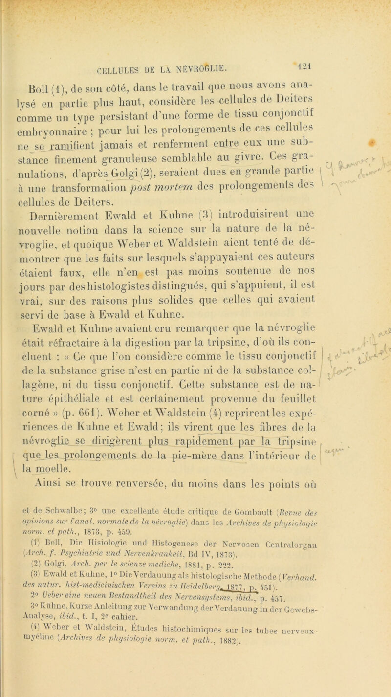 Boll (1), de son côté, dans le travail que nous avons ana- lysé en partie plus haut, considère les cellules de Deiters comme un type persistant d’une forme de tissu conjonctif embryonnaire ; pour lui les prolongements de ces cellules ne se ramifient jamais et renferment entre eux une sub- stance finement granuleuse semblable au givre. Ces gia- nulations, d’aprèsj&olgi (2), seraient dues en grande partie à une transformation post mortem des prolongements des cellules de Deiters. Dernièrement Ewald et Kuhne (3) introduisirent une nouvelle notion dans la science sur la nature de la né- vroglie, et quoique Weber et Waldstein aient tenté de dé- montrer que les faits sur lesquels s’appuyaient ces auteurs étaient faux, elle n’en est pas moins soutenue de nos jours par des histologistes distingués, qui s’appuient, il est vrai, sur des raisons plus solides que celles qui avaient servi de base à Ewald et Kuhne. Ewald et Kuhne avaient cru remarquer que la névroglie était réfractaire à la digestion par la tripsine, d’où ils con- cluent ; « Ce que l’on considère comme le tissu conjonctif de la substance grise n’est en partie ni de la substance col- lagène, ni du tissu conjonctif. Cette substance est de na- ture épithéliale et est certainement provenue du feuillet corné » (p. 6G1). Weber et Waldstein (4) reprirent les expé- riences de Kuhne et Ewald; ils virent que les fibres de la névroglie se dirigèrent plus rapidement par la tripsine queJea_prolongements de la pie-mère dans l’intérieur de la moelle. Ainsi se trouve renversée, du moins dans les points oi'i ot (le Schwalbe; 3° une excellente étude critique de Gombault [Revue rfe.< opinions sur l'anal, normale de la névroglie) dans les Archives de physiologû norm. et pnth., 1873, p. 459. (1) IJoll, Die Ilisiologie und Histogenèse der Nervosen Ceutralorgan [Arch. /'. Psychiatrie und Nervenkrankeit, lîd IV, 1873). (2) Golgi, Arch. per le scienze mediche, 1881, p. 222. (.3) Ewald et Kuhne, 1° DieVerdauuugals liistologische Méthode (Fer/innc/, des natur. hist-medicmischen Vereins zu lleidelbero^ 1877. p 4.51 h 20 üebereine neuen Beslandtheil des Nerve?isystcms, ibid.,'p. 457. 30 Küluie, Kurze Anteitungzur Verwandung derVerdauung in der Gewehs- Analyse, ibid., t. I, 2o cahier. (4) Weher et W aldstein, Études histochiiniques sur les tuhes nerveux myéline [Archives de physiologie norm. et path., 1882'.