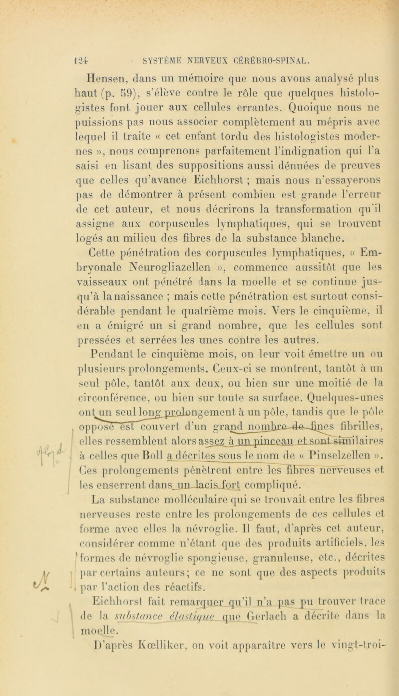 lïensen, dans un mémoire que nous avons analysé plus haut (p. 59), s’élève contre le rôle que quelques histolo- gistes font jouer aux cellules errantes. Quoique nous ne puissions pas nous associer complètement au mépris avec lequel il traite « cet enfant tordu des histologistes moder- nes », nous comprenons parfaitement l’indignation qui l’a saisi en lisant des suppositions aussi dénuées de preuves que celles qu’avance Eichhorsl ; mais nous n’essayerons pas de démontrer à présent combien est grande l’erreur de cet auteur, et nous décrirons la transformation qu’il assigne aux corpuscules lymphatiques, qui se trouvent logés au milieu des fd3res de la substance blanche. Cette pénétration des corpuscules lymphatiques, » Em- hryonale Neurogliazellen », commence aussitôt que les vaisseaux ont pénétré dans la moelle et se continue jus- qu’à la naissance ; mais cette pénétration est surtout consi- dérable pendant le quatrième mois. Vers le cinquième, il en a émigré un si grand nombre, que les cellules sont pressées et serrées les unes contre les autres. Pendant le cinquième mois, on leur voit émettre un ou plusieurs prolongements. Ceux-ci se montrent, tantôt à un seul pôle, tantôt aux deux, ou bien sur une moitié de la circonférence, ou bien sur toute sa surface. Quelques-unes ont un seul long^jiiailongement à un pôle, tandis que le pôle , opposlT’csrœuvert d’un grand noml)jL:o-d-o-~-ün^ fibrilles, elles ressemblent alors assezJ\. un pinceau etsnnLsmïilaires à celles que Boll a décrites sous le nom de « Pinselzellen ». Ces prolongements pénètrent entre lesHbFés nerveuses et les enserrent (lans_iiD^-lacis_^fort compliqué. La substance molléculaire qui se trouvait entre les fibres nerveuses reste entre les prolongements de ces cellules et forme avec elles la névroglie. Il faut, d’après cet auteur, considérer comme n’étant que des produits artificiels, les fformes de névroglie spongieuse, granuleuse, etc., décrites ' par certains auteurs; ce ne sont que des aspects produits 1 par l’action des réactifs. Eicbborst fait remarquer qu’il n’a pas pu trouver trace de la substance élastique, que Cerlacb a décrite dans la moelle. D’après Kœlliker, on voit apparaître vers le vingt-troi-
