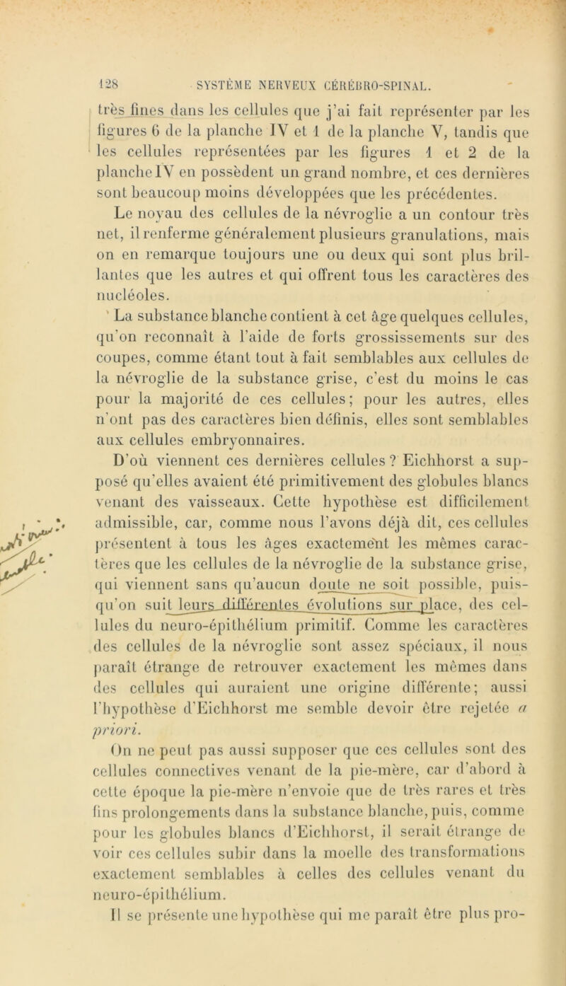 s l:i8 SYSTÈME NERVEUX CÉRÉBRO-SPINAL. trèsjilies dans les cellules que j’ai fait représenter par les ligures 6 de la planche IV et 1 de la planche V, tandis que les cellules représentées par les figures 1 et 2 de la planchelY en possèdent un grand nombre, et ces dernières sont beaucoup moins développées que les précédentes. Le noyau des cellules de la névroglie a un contour très net, il renferme généralement plusieurs granulations, mais on en remarque toujours une ou deux qui sont })lus bril- lantes que les autres et qui offrent tous les caractères des nucléoles. ' La substance blanche contient à cet âge quelques cellules, qu’on reconnaît à l’aide de forts grossissements sur des coupes, comme étant tout à fait semblables aux cellules de la névroglie de la substance grise, c’est du moins le cas pour la majorité de ces cellules; pour les autres, elles n’ont pas des caractères bien définis, elles sont semblables aux cellules embryonnaires. D’où viennent ces dernières cellules ? Eiclihorst a sup- posé qu’elles avaient été primitivement des globules blancs venant des vaisseaux. Cette hypothèse est difficilement admissible, car, comme nous l’avons déjà dit, ces cellules jirésentent à tous les âges exactement les mêmes carac- tères que les cellules de la névroglie de la substance grise, qui viennent sans qu’aucun doute ne soit possible, puis- qu’on différontes évolutions sur place, des cel- lules du neuro-épithélium primitif. Comme les caractères des cellules de la névroglie sont assez spéciaux, il nous |)araît étrange de retrouver exactement les memes dans des cellules qui auraient une origine différente; aussi l’hypothèse d’Eiclihorst me semble devoir être rejetée r/ priori. On ne peut pas aussi supposer que ces cellules sont des cellules connectives venant de la pie-mère, car d’abord à cette époque la pie-mère n’envoie que de très rares et très lins prolongements dans la substance blanche, puis, comme pour les globules blancs d’Eicliliorst, il serait élrange de voir ces cellules subir dans la moelle des transformations exactement semblables à celles des cellules venant du neuro-épithélium. n se présente une hypothèse qui me paraît être plus pro-