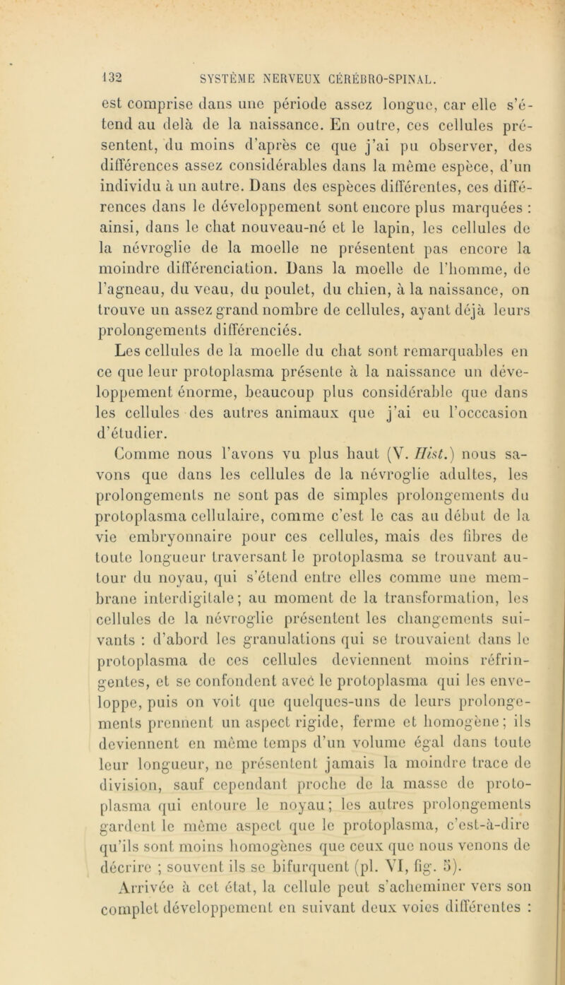 est comprise clans une période assez longue, car elle s’é- tend au delà de la naissance. En outre, ces cellules pré- sentent, du moins d’après ce cjue j’ai pu observer, des différences assez considérables dans la même espèce, d’un individu à un autre. Dans des espèces différentes, ces diffé- rences dans le développement sont encore plus marquées : ainsi, dans le chat nouveau-né et le lapin, les cellules de la névroglie de la moelle ne présentent pas encore la moindre différenciation. Dans la moelle de l’homme, de l’agneau, du veau, du poulet, du chien, à la naissance, on trouve un assez grand nombre de cellules, ayant déjà leurs prolongements différenciés. Les cellules de la moelle du chat sont remarquables en ce que leur protoplasma présente à la naissance un déve- loppement énorme, beaucoup plus considérable que dans les cellules des autres animaux que j’ai eu l’occcasion d’étudier. Comme nous l’avons vu plus haut (V. Tllst.) nous sa- vons que dans les cellules de la névroglie adultes, les prolongements ne sont pas de simples prolongements du protoplasma cellulaire, comme c’est le cas au début de la vie embryonnaire pour ces cellules, mais des fibres de toute longueur traversant le protoplasma se trouvant au- tour du noyau, qui s’étend entre elles comme une mem- brane interdigitale; au moment de la transformation, les cellules de la névroglie présentent les changements sui- vants ; d’abord les granulations qui se trouvaient dans le protoplasma de ces cellules deviennent moins réfrin- gentes, et se confondent avec le protoplasma qui les enve- loppe, puis on voit que quelques-uns de leurs prolonge- ments prennent un aspect rigide, ferme et homogène; ils deviennent en même temps d’un volume égal dans toute leur longueur, ne présentent jamais la moindre trace de division, sauf cependant proche de la masse de proto- plasma qui entoure le noyau ; les autres prolongements gardent le même aspect que le protoplasma, c’est-à-dire qu’ils sont moins homogènes que ceux que nous venons de décrire ; souvent ils se bifurquent (pl. VI, fig. 5). Arrivée à cet état, la cellule peut s’acheminer vers son complet développement en suivant deux voies différentes :
