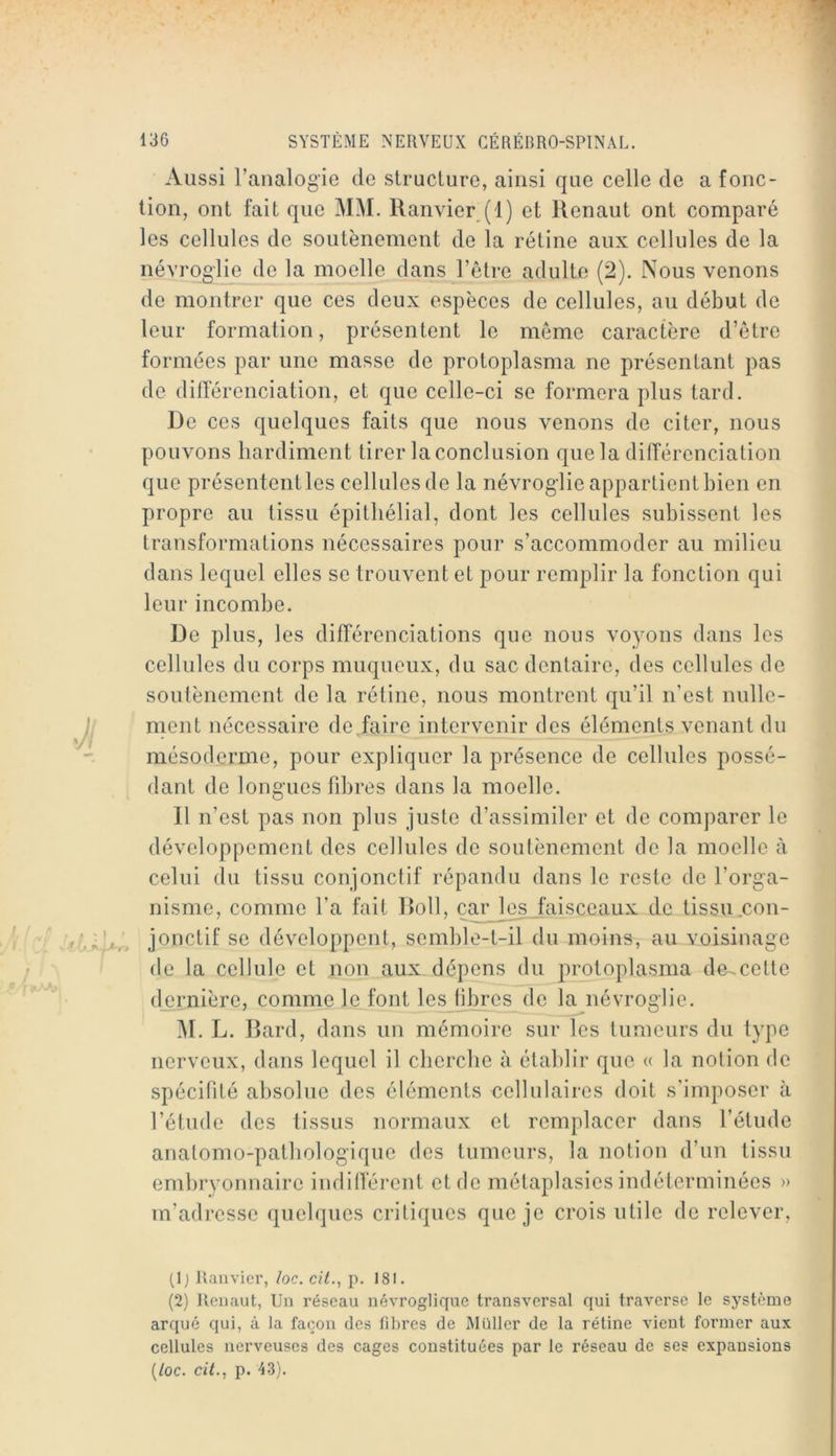 Aussi l’analogie de structure, ainsi que celle de a fonc- tion, ont fait que MM. Ranvier (1) et Renaut ont comparé les cellules de soutènement de la rétine aux cellules de la névroglie de la moelle dans l’être adulte (2). Nous venons de montrer que ces deux espèces de cellules, au début de leur formation, présentent le même caractère d’être formées par une masse de protoplasma ne présentant pas de dilîérenciation, et que celle-ci se formera plus tard. De ces quelques faits que nous venons de citer, nous pouvons hardiment tirer la conclusion que la différenciation que présentent les cellules de la névroglie appartient bien en propre au tissu épithélial, dont les cellules subissent les transformations nécessaires pour s’accommoder au milieu dans lequel elles se trouvent et pour remplir la fonction qui leur incombe. De plus, les différenciations que nous voyons dans les cellules du corps muqueux, du sac dentaire, des cellules de soutènement de la rétine, nous montrent qu’il n’est nulle- ment nécessaire de,faire intervenir des éléments venant du mésoderme, pour expliquer la présence de cellules possé- dant de longues fd^res dans la moelle. Il n’est pas non plus juste d’assimiler et de comparer le développement des cellules de soulènement de la moelle à celui du tissu conjonclif répandu dans le reste de l’orga- nisme, comme l’a fait Roll, car les faisceaux de tissu.con- jonctif se développent, semble-t-il du moins, au voisinage de la cellule et non aux dépens du protoplasma de cette dernière, comme le font les libres de la névroglie. M. L. Rard, dans un mémoire sur les tumeurs du type nerveux, dans lequel il cherche à établir que (( la notion de spécifité absolue des éléments cellulaires doit s’imposer à l’étude des tissus normaux et remplacer dans l’étude anatomo-patliologique des tumeurs, la notion d’un tissu embryonnaire indifférent et de métaplasies indéterminées » m’adresse quelques critiques que je crois utile de relever, (Ij Ranvier, loc, cit., p. 181. (2) Renaut, Un réseau névroglique transversal qui traverse le système arqué qui, à la façon des fibres de Muller de la rétine vient former aux cellules nerveuses des cages constituées par le réseau de ses expansions {loc. cit., p. 43).