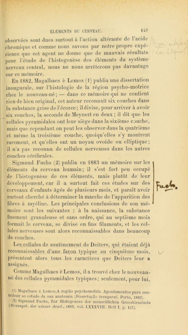 140 observées sont dues surtout à l’action altérante de l’acide chromique et comme nous savons par notre propre expé- rience que cet agent ne donne que de mauvais résultats pour Féliide de l’iiistogenèse des éléments du système nerveux central, nous ne nous arrêterons pas davantage sur ce mémoire. En 1882, Magalhaes è Lemos (1) publia une dissertation inaugurale, sur l’iiistologie de la région psycho-motrice chez le nouveau-né ; — dans ce mémoire qui ne contient rien de bien original, cet auteur reconnaît six couches dans la substance grise de l’écorce ; il divise, pour arriver à avoir six couches, la seconde de Meynert en deux ; il dit que les cellules pyramidales ont leur siège dans la sixième couche, mais que cependant on peut les observer dans la quatrième et même la troisième couche, quoiqu’elles s’y montrent rarement, et qu’elles ont un noyau ovoïde ou elliptique; il n’a pas reconnu de cellules nerveuses dans les autres couches cérébrales. Sigmund Fuchs (2) publia en 1883 un mémoire sur les éléments du cerveau humain; il s’est fort peu occupé de riiistogenèse de ces éléments, mais plutôt de leur développement, car il a surtout fait ces études sur des cerveaux d’enfants âgés de plusieurs mois, et paraît avoir surtout cherché à déterminer la marche de l’apparition des libres à myéline. Les principales conclusions de son mé- moire sont les suivantes : à la naissance, la substance linomont granuleuse et sans ordre, qui au septième mois formait le cerveau, se divise en fins filaments, et les cel- lules nerveuses sont alors reconnaissables dans beaucoup de couches. Les cellules de soutènement de Deiters, qui étaient déjà reconnaissables d’une façon typique au cinquième mois, [)résentent alors tous les caractères que Deiters leur a assignés. Comme Magalhaes è Lemos, il a trouvé chez le nouveau- né des cellules pyramidales typiques; seulement, pour lui. (1) Magalhaes è Lemos,A regiào psychomotriz. Apoiitamentos para con- tribuir ao estudo da sua anatomia [Dissertaçào inaugural. Porto, 1882). (2) Sigmund Fuchs, Zur Histogenèse der menschlichen Grosshirnrinde {SUzungsb. der wiener Acad., 1883, vol. LXXXVIIT. Iloft T, p. 1.S7).