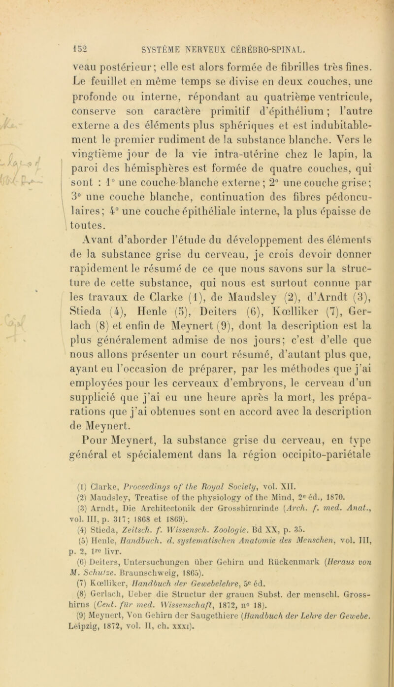 veau postérieur; elle est alors formée de fibrilles très fines. Le feuillet en meme temps se divise en deux couches, une profonde ou interne, répondant au quatrième ventricule, conserve son caractère primitif d’épithélium ; l’autre externe a des éléments plus sphériques et est induhitahle- ment le premier rudiment de la substance blanche. Vers le vingtième jour de la vie intra-utérine chez le lapin, la paroi des hémisphères est formée de quatre couches, qui sont : 1° une couche'blanche externe; 2“ une couche grise; i 3° une couche blanche, continuation des fibres pédoncu- ' laires; 4 une couche épithéliale interne, la plus épaisse de toutes. Avant d’aborder l’étude du développement des éléments de la substance grise du cerveau, je crois devoir donner rapidement le résumé de ce que nous savons sur la struc- ture de cette substance, qui nous est surtout connue par les travaux de Clarke (1), de Maudsley (2), d’Arndt (3), Stieda (4), ITenle (5), Deiters (6), Kœlliker (7), Ger- lach (8) et enfin de Meynert (9), dont la description est la plus généralement admise de nos jours; c’est d’elle que nous allons présenter un court résumé, d’autant plus que, ayant eu l’occasion de préparer, par les méthodes que j’ai employées pour les cerveaux d’embryons, le cerveau d’un supplicié que j’ai eu une heure après la mort, les prépa- rations que j’ai obtenues sont en accord avec la description de Meynert. l’our Meynert, la substance grise du cerveau, en type général et spécialement dans la région occipito-pariétale (1) Clarke, Proceedlngs of the Royal Society, vol. XII. (2) Maudsley, Treatise of the physiology of llie Mind, éd., 1870. (3) Arndt, Die Architecloiiik der Grosshirnrinde [Arch. f. med. Anat., vol. III, p. 317; 1868 et 1869). (4) Stieda, Zeilsch. f. IVissensch. Zoologie. Bd XX, p. 35. (5) Ilcide, Ilandbuch. d. systeynatischen Anatomie des Mcnschen, vol. III, p. 2, De livr. (6) Deiters, Untersuchungeii über Gehirn uud Rückenmark {lleraus von M. Schuize. Braunschweig, 186.5). (7) Kœlliker, Ilandbuch der Geuoebelehre, 5® éd. (8) Gerlach, üeber die Structur der grauen Subst. der luenschl. Gross- hirris {Cent, für med. Wissenschaft, 1872, ii» 18). (9) .Meynert, Vou Gehirn der Saugetbicre [Ilandbuch der Lehre der Gewebe. Leipzig, 1872, vol. Il, ch. xxxi).