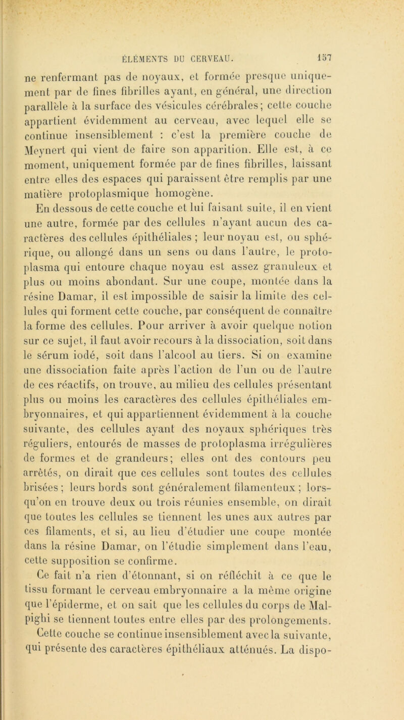 ne renfermant pas de noyaux, et formée presque unique- ment par de fines fibrilles ayant, en général, une direction parallèle à la surface des vésicules cérébrales; cette couche appartient évidemment au cerveau, avec lequel elle se continue insensiblement : c’est la première couche de Meynert qui vient de faire son apparition. Elle est, à ce moment, uniquement formée par de fines fibrilles, laissant entre elles des espaces qui paraissent être remplis par une matière protoplasmique homogène. En dessous de cette couche et lui faisant suite, il en vient une autre, formée par des cellules n’ayant aucun des ca- ractères des cellules épithéliales; leur noyau est, ou sphé- rique, ou allongé dans un sens ou dans l’autre, le proto- plasma qui entoure chaque noyau est assez granuleux et plus ou moins abondant. Sur une coupe, montée dans la résine Damar, il est impossible de saisir la limite des cel- lules qui forment cette couche, par conséquent de connaître la forme des cellules. Pour arriver à avoir quelque notion sur ce sujet, il faut avoir recours à la dissociation, soit dans le sérum iodé, soit dans l’alcool au tiers. Si on examine une dissociation faite après l’action de l’un ou de l'autre de ces réactifs, on trouve, au milieu des cellules présentant plus ou moins les caractères des cellules épithéliales em- bryonnaires, et qui appartiennent évidemment à la couche suivante, des cellules ayant des noyaux sphériques très réguliers, entourés de masses de protoplasma irrégulières de formes et de grandeurs; elles ont des contours peu arrêtés, on dirait que ces cellules sont toutes des cellules brisées; leurs bords sont généralement filamenteux ; lors- qu’on en trouve deux ou trois réunies ensemble, on dirait que toutes les cellules se tiennent les unes aux autres par ces filaments, et si, au lieu d’étudier une coupe montée dans la résine Damar, on l’étudie simplement dans l’eau, cette supposition se confirme. Ce fait n’a rien d’étonnant, si on réfléchit à ce que le tissu formant le cerveau embryonnaire a la même origine que l’épiderme, et on sait que les cellules du corps de Mal- pighi se tiennent toutes entre elles par des prolongements. Cette couche se continue insensiblement avec la suivante, qui présente des caractères épithéliaux atténués. La dispo-