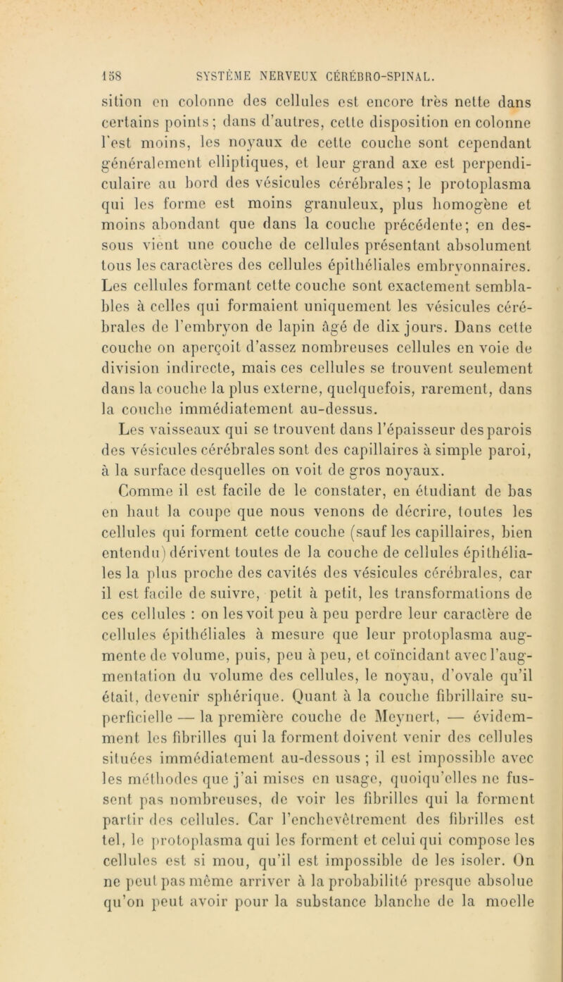 sition en colonne des cellules est encore 1res nette clans certains points; dans d’autres, cette disposition en colonne l'est moins, les noyaux de cette couche sont cependant généralement elliptiques, et leur grand axe est perpendi- culaire au bord des vésicules cérébrales ; le protoplasma qui les forme est moins granuleux, plus homogène et moins abondant que dans la couche précédente; en des- sous vient une couche de cellules présentant absolument tous les caractères des cellules épithéliales embryonnaires. Les cellules formant cette couche sont exactement sembla- bles à celles qui formaient uniquement les vésicules céré- brales de l’embryon de lapin âgé de dix jours. Dans cette couche on aperçoit d’assez nombreuses cellules en voie de division indirecte, mais ces cellules se trouvent seulement dans la couche la plus externe, quelquefois, rarement, dans la couche immédiatement au-dessus. Les vaisseaux qui se trouvent dans l’épaisseur des parois des vésicules cérébrales sont des capillaires à simple paroi, à la surface desquelles on voit de gros noyaux. Comme il est facile de le constater, en étudiant de bas en haut la coupe que nous venons de décrire, toutes les cellules qui forment cette couche (sauf les capillaires, bien entendu) dérivent toutes de la couche de cellules épithélia- les la plus proche des cavités des vésicules cérébrales, car il est facile de suivre, petit à petit, les transformations de ces cellules : on les voit peu à peu perdre leur caractère de cellules épithéliales à mesure que leur protoplasma aug- mente de volume, puis, peu à peu, et coïncidant avec l’aug- mentation du volume des cellules, le noyau, d’ovale qu’il était, devenir sphérique. Quant à la couche fdDrillaire su- perficielle — la première couche de Meynert, — évidem- ment les fd3rilles qui la forment doivent venir des cellules situées immédiatement au-dessous ; il est impossible avec les méthodes que j’ai mises en usage, quoiqu’elles ne fus- sent pas nombreuses, de voir les fibrilles qui la forment partir des cellules. Car renchevelrement des hbrilles est tel, le protoplasma qui les forment et celui qui compose les cellules est si mou, qu’il est impossible de les isoler. On ne peut pas môme arriver à la probabilité presque absolue qu’on peut avoir pour la substance blanche de la moelle