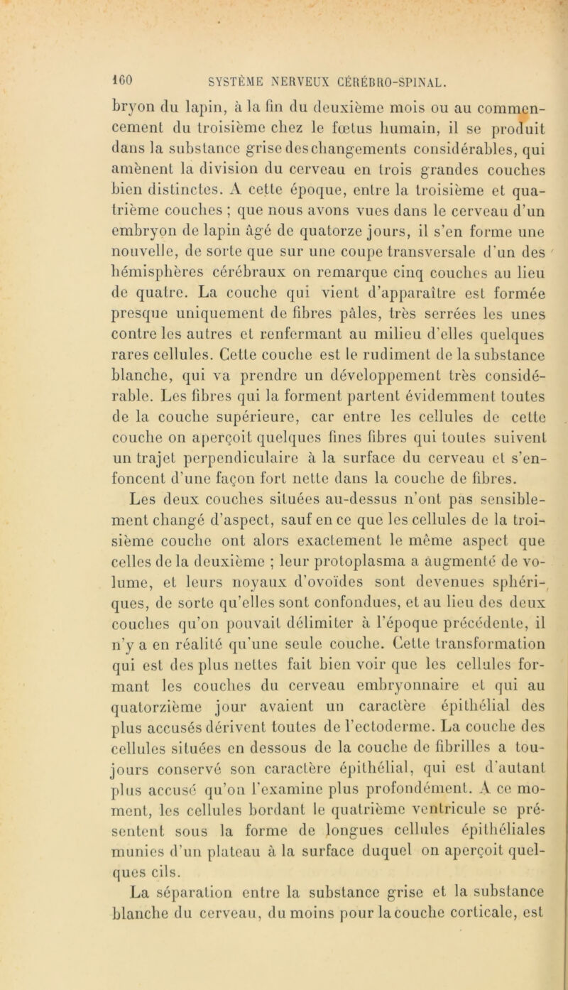 bryon du lapin, à la fm du deuxième mois ou au commen- cement du troisième chez le fœtus liumain, il se produit dans la substance grise des cliangements considérables, qui amènent la division du cerveau en trois grandes couches bien distinctes. A cette époque, entre la troisième et qua- trième couches ; que nous avons vues dans le cerveau d’un embryon de lapin âgé de quatorze jours, il s’en forme une nouvelle, de sorte que sur une coupe transversale d’un des ' hémisphères cérébraux on remarque cinq couches au lieu de quatre. La couche qui vient d’apparaître est formée presque uniquement de fibres pâles, très serrées les unes contre les autres et renfermant au milieu d’elles quelques rares cellules. Cette couche est le rudiment de la substance blanche, qui va prendre un développement très considé- rable. Les fibres qui la forment jiartent évidemment toutes de la couche supérieure, car entre les cellules de cette couche on aperçoit quelques fines libres qui toutes suivent un trajet perpendiculaire à la surface du cerveau et s’en- foncent d’une façon fort nette dans la couche de fibres. Les deux couches situées au-dessus n’ont pas sensible- ment changé d’aspect, sauf en ce que les cellules de la troi- sième couche ont alors exactement le même aspect que celles delà deuxième ; leur protoplasma a augmenté de vo- lume, et leurs noyaux d’ovoïdes sont devenues sphéri-^ ques, de sorte qu’elles sont confondues, et au lieu des deux couches qu’on pouvait délimiter à l’époque précédente, il n’y a en réalité qu’une seule couche. Cette transformation qui est des plus nettes fait bien voir que les cellules for- mant les couches du cerveau embryonuaire et qui au quatorzième jour avaient un caractère épithélial des plus accusés dérivent toutes de l’ectoderme. La couche des cellules situées en dessous de la couche de fibrilles a tou- jours conservé son caractère épithélial, qui est d’autant plus accusé qu’on l’examine plus profondément. A ce mo- ment, les cellules bordant le quatrième ventricule se pré- sentent sous la forme de longues cellules épithéliales munies d’un plateau à la surface duquel on aperçoit quel- ques cils. La séparation entre la substance grise et la substance blanche du cerveau, du moins pour la couche corticale, est