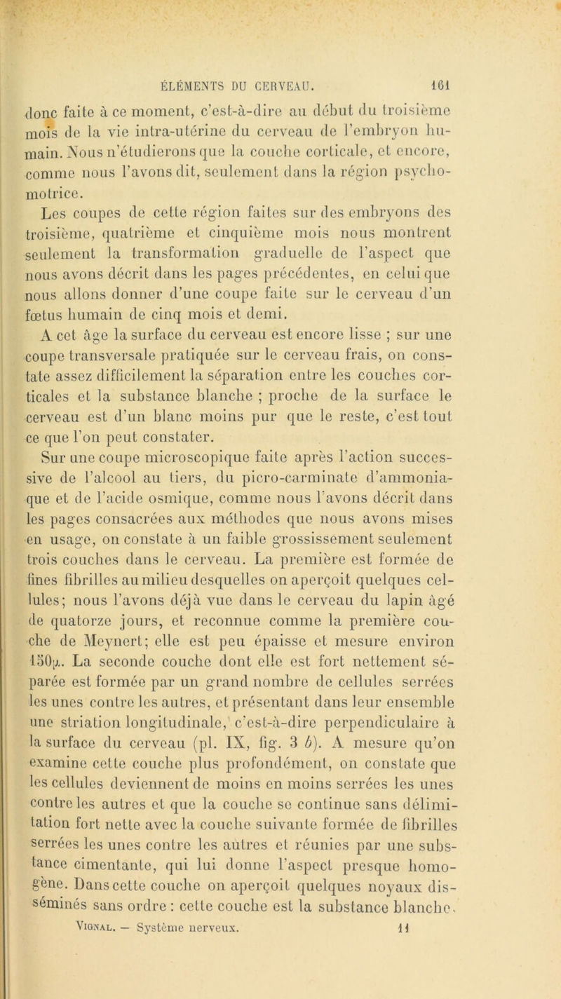 donc faite à ce moment, c’est-à-dire an début du troisième mois de la vie intra-utérine du cerveau de l’embryon hu- main. Nous n’étudierons que la couche corticale, et encore, comme nous l’avons dit, seulement dans la région psycbo- molrice. Les coupes de cette région faites sur des embryons des troisième, quatrième et cinquième mois nous montrent seulement la transformation g'raduelle de l’aspect que nous avons décrit dans les pages précédentes, en celui que nous allons donner d’une coupe faite sur le cerveau d’un fœtus humain de cinq mois et demi. A cet âge la surface du cerveau est encore lisse ; sur une coupe transversale pratiquée sur le cerveau frais, on cons- tate assez difficilement la séparation entre les couches cor- ticales et la substance blanche ; proche de la surface le cerveau est d’un blanc moins pur que le reste, c’est tout ce que l’on peut constater. Sur une coupe microscopique faite après l’action succes- sive de l’alcool au tiers, du picro-carminate d’ammonia- que et de l’acide osmique, comme nous l’avons décrit dans les pages consacrées aux méthodes que nous avons mises en usage, on constate à un faible grossissement seulement trois couches dans le cerveau. La première est formée de Unes fibrilles au milieu desquelles on aperçoit quelques cel- lules; nous l’avons déjà vue dans le cerveau du lapin âgé de quatorze jours, et reconnue comme la première cou- che de Meynert; elle est peu épaisse et mesure environ 150[j.. La seconde couche dont elle est fort nettement sé- parée est formée par un grand nombre de cellules serrées les unes contre les autres, et présentant dans leur ensemble une striation longitudinale,' c’est-à-dire perpendiculaire à la surface du cerveau (pl. IX, fig. 3 b). A mesure qu’on examine cette couche plus profondément, on constate que les cellules deviennent de moins en moins serrées les unes contre les autres et que la couche se continue sans délimi- tation fort nette avec la couche suivante formée de tibrilles serrées les unes contre les autres et réunies par une subs- tance cimentante, qui lui donne l’aspect presque homo- gène. Dans cette couche on aperçoit quelques noyaux dis- séminés sans ordre : cette couche est la substance blanche. ViQNAL. — Système nerveux. li