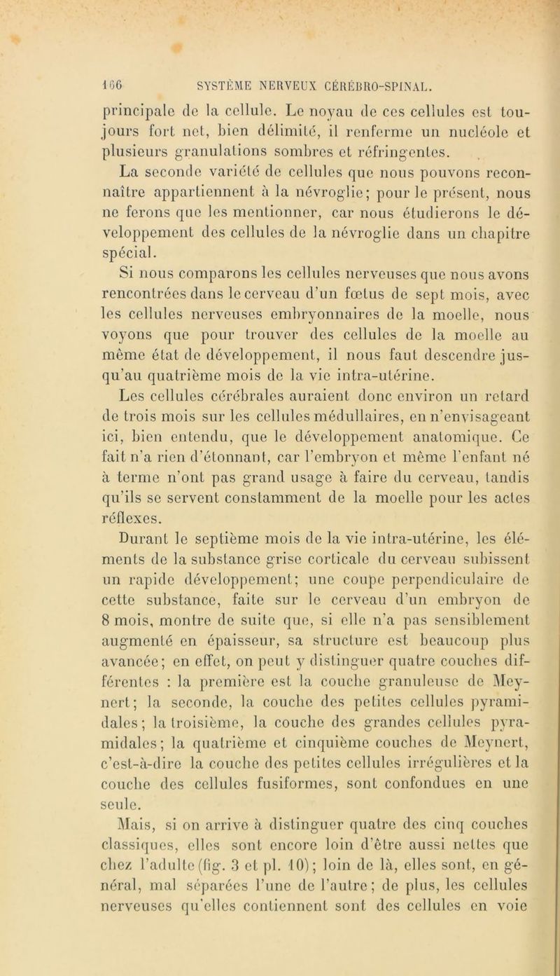 principale de la cellule. Le noyau de ces cellules est tou- jours fort net, bien délimité, il renferme un nucléole et plusieurs granulations sombres et réfringentes. La seconde variété de cellules que nous pouvons recon- naître appartiennent à la névroglie; pour le présent, nous ne ferons que les mentionner, car nous étudierons le dé- veloppement des cellules de la névroglie dans un chapitre spécial. Si nous comparons les cellules nerveuses que nous avons rencontrées dans le cerveau d’un fœtus de sept mois, avec les cellules nerveuses embryonnaires de la moelle, nous voyons que pour trouver des cellules de la moelle au meme état de développement, il nous faut descendre jus- qu’au quatrième mois de la vie intra-utérine. Les cellules cérébrales auraient donc environ un retard de trois mois sur les cellules médullaires, en n’enyisageant ici, bien entendu, que le développement anatomique. Ce fait n’a rien d’étonnant, car l’embryon et meme l’enfant né à terme n’ont pas grand usage à faire du cerveau, tandis qu’ils se servent constamment de la moelle pour les actes réflexes. Durant le septième mois do la vie intra-utérine, les élé- ments do la substance grise corticale du cerveau subissent un rapide développement; une coupe perpendiculaire de cette substance, faite sur le cerveau d’un embryon de 8 mois, montre do suite que, si elle n’a pas sensiblement augmenté en épaisseur, sa structure est beaucoup plus avancée; en effet, on peut y distinguer quatre couebes dif- férentes : la première est la couche granuleuse de Mey- nert; la seconde, la couche dos petites cellules jiyrami- dales ; la troisième, la couche des grandes cellules pyra- midales; la quatrième et cinquième couebes de Meynert, c’est-à-dire la couche des petites cellules irrégulières et la couche des cellules fusiformes, sont confondues en une seule. Mais, si on arrive à distinguer quatre des cinq couches classiques, elles sont encore loin d’être aussi nettes que chez l’adulte (tig. 3 et pl. 10); loin de là, elles sont, en gé- néral, mal séparées l’une de l’autre; de plus, les cellules nerveuses qu’elles contiennent sont des cellules en voie