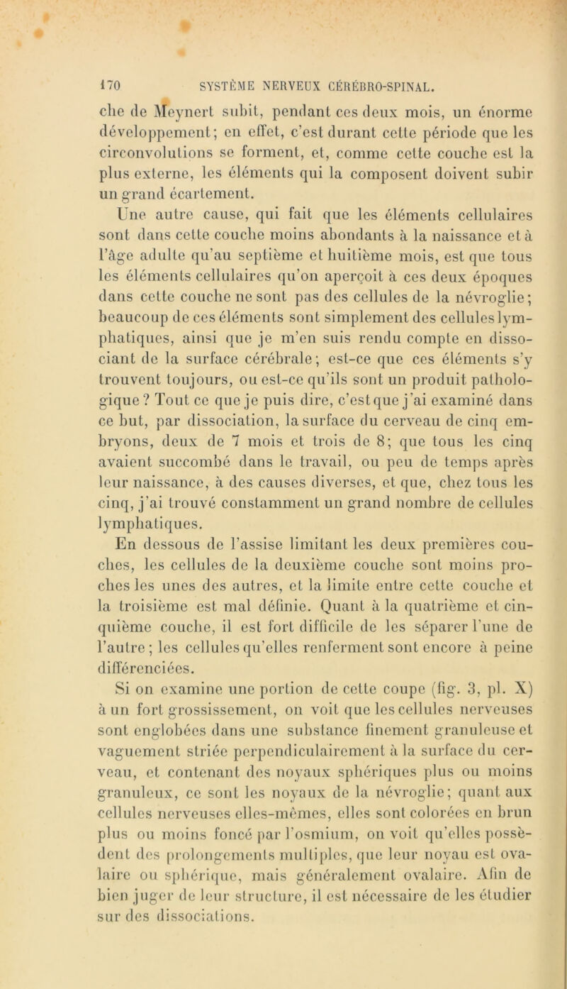 elle de Meynert subit, pendant ces deux mois, un énorme développement; en efl'et, c’est durant cette période que les circonvolutions se forment, et, comme cette couche est la plus externe, les éléments qui la composent doivent subir un grand écartement. Une autre cause, qui fait que les éléments cellulaires sont dans cette couche moins abondants à la naissance et à l’âge adulte qu’au septième et huitième mois, est que tous les éléments cellulaires qu’on aperçoit à ces deux époques dans cette couche ne sont pas des cellules de la névroglie; beaucoup de ces éléments sont simplement des cellules lym- phatiques, ainsi que je m’en suis rendu compte en disso- ciant de la surface cérébrale; est-ce que ces éléments s’y trouvent toujours, ou est-ce qu’ils sont un produit patholo- gique ? Tout ce que je puis dire, c’est que j’ai examiné dans ce but, par dissociation, la surface du cerveau de cinq em- bryons, deux de 7 mois et trois de 8; que tous les cinq avaient succombé dans le travail, ou peu de temps après leur naissance, à des causes diverses, et que, chez tous les cinq, j’ai trouvé constamment un grand nombre de cellules lymphatiques. En dessous de l’assise limitant les deux premières cou- ches, les cellules de la deuxième couche sont moins pro- ches les unes des autres, et la limite entre cette couche et la troisième est mal définie. Quant à la quatrième et cin- quième couche, il est fort difficile de les séparer l’une de l’autre; les cellules qu’elles renferment sont encore à peine différenciées. Si on examine une portion de cette coupe (lig. 3, pl. X) à un fort grossissement, on voit que les cellules nerveuses sont englobées dans une substance finement granuleuse et vaguement striée perpendiculairement à la surface du cer- veau, et contenant des noyaux sphériques plus ou moins granuleux, ce sont les noyaux de la névroglie; quant aux cellules nerveuses elles-mêmes, elles sont colorées en brun plus ou moins foncé par l’osmium, on voit qu’elles possè- dent des prolongcrnenls mulliples, que leur noyau est ova- laire ou sphérique, mais généralement ovalaire. Afin de bien juger de leur structure, il est nécessaire de les étudier sur des dissociations.