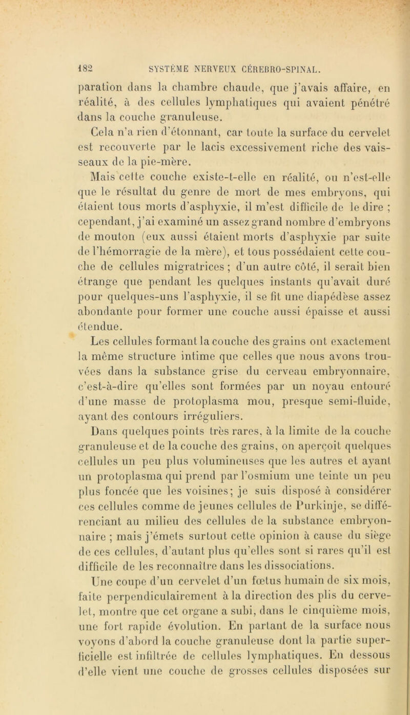 j)aration dans la chambre chaude, que j’avais affaire, en réalité, à des cellules lymphatiques qui avaient pénétré dans la couche granuleuse. Cela n’a rien d’étonnant, car toute la surface du cervelet est recouverte par le lacis excessivement riche des vais- seaux de la pie-mère. Mais celte couche existe-t-elle en réalité, ou n’est-elle que le résultat du genre de mort de mes embryons, qui étaient tous morts d’asphyxie, il m’est diflicile de le dire ; cependant, j’ai examiné un assez grand nombre d’embryons de mouton (eux aussi étaient morts d’asphyxie par suite de riiémorragie de la mère), et tous possédaient cette cou- che de cellules migratrices ; d’un autre côté, il serait bien étrange que pendant les quelques instants qu’avait duré pour quelques-uns l’asphyxie, il se fit une diapédèse assez abondante pour former une couche aussi épaisse et aussi étendue. Les cellules formant la couche des grains ont exactement la meme structure intime que celles que nous avons trou- vées dans la substance grise du cerveau embryonnaire, c’est-à-dire qu’elles sont formées par un noyau entouré d’une masse de protoplasma mou, presque semi-lluide, ayant des contours irréguliers. Dans quelques points très rares, à la limite de la couche granuleuse et de la couche des grains, on aperçoit quelques cellules un peu plus volumineuses que les autres et ayant un protoplasma qui prend par l’osmium une teinte un peu plus foncée que les voisines; je suis disposé à considérer ces cellules comme de jeunes cellules de Purkiuje, se diffé- renciant au milieu des cellules de la substance embryon- naire ; mais j’émets surtout cette opinion à cause du siège de CCS cellules, d’autant plus qu’elles sont si rares qu’il est difficile de les reconnaître dans les dissociations. Une coupe d’un cervelet d’un fœtus humain de six mois, faite perpendiculairement à la direction des plis du cerve- let, montre que cet organe a subi, dans le cinquième mois, une fort rapide évolution. Un partant de la surface nous voyons d’abord la couche granuleuse dont la partie super- ficielle est infiltrée de cellules lymphatiques. En dessous d’elle vient une couche de gi’osses cellules disposées sur