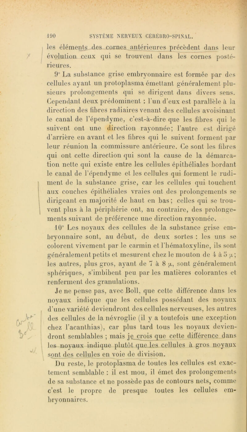 >’ r' les éléments des cornes antérieures précèdent dans leur évolution ceux qui se trouvent dans les cornes posté- rieures. 9' La substance grise embryonnaire est formée par des cellules ayant un protoplasma émetlant généralement plu- sieurs prolongements qui se dirigent dans divers sens. Cependant deux prédominent : l’un d’eux est parallèle à la direction des libres radiaires venant des cellules avoisinant le canal de l’épendyme, c’est-à-dire que les fibres qui le suivent ont une direction rayonnée; l’autre est dirigé d’arrière en avant et les fibres qui le suivent forment par leur réunion la commissure antérieure. Ce sont les fibres qui ont cette direction qui sont la cause de la démarca- tion nette qui existe entre les cellules épithéliales bordant le canal de l’épendyme et les cellules qui forment le rudi- ment de la substance grise, car les cellules qui touchent aux couches épithéliales vraies ont des prolongements se dirigeant en majorité de haut en bas; celles qui se trou- vent plus à la périphérie ont, au contraire, des prolonge- ments suivant de préférence une direction rayonnée. 10'* Les noyaux des cellules de la substance grise em- bryonnaire sont, au début, de deux sortes : les uns se colorent vivement par le carmin et l’iiématoxyline, ils sont généralement petits et mesurent chez le mouton de 4 ào p.; les autres, plus gros, ayant de 7 à 8 [j,, sont généralement sphériques, s’imbibent peu par les matières colorantes et renferment des granulations. Je ne pense pas, avec Boll, que cette différence dans les noyaux indique que les cellules possédant des noyaux d’une variété deviendront des cellules nerveuses, les autres des cellules de la névroglie (il y a toutefois une exception chez l’acanthias), car plus tard tous les noyaux devien- dront semblables ; mais jQ__crois que cette différence dans les noyaux indique plutôt que les cellules à gros noyaux sont des cellules en voie de division. Du reste, le protoplasma de toutes les cellules est exac- tement semblable : il est mou, il émet des prolongements de sa substance et ne possède pas de contours nets, comme c’est le propre de presque toutes les cellules em- bryonnaires.