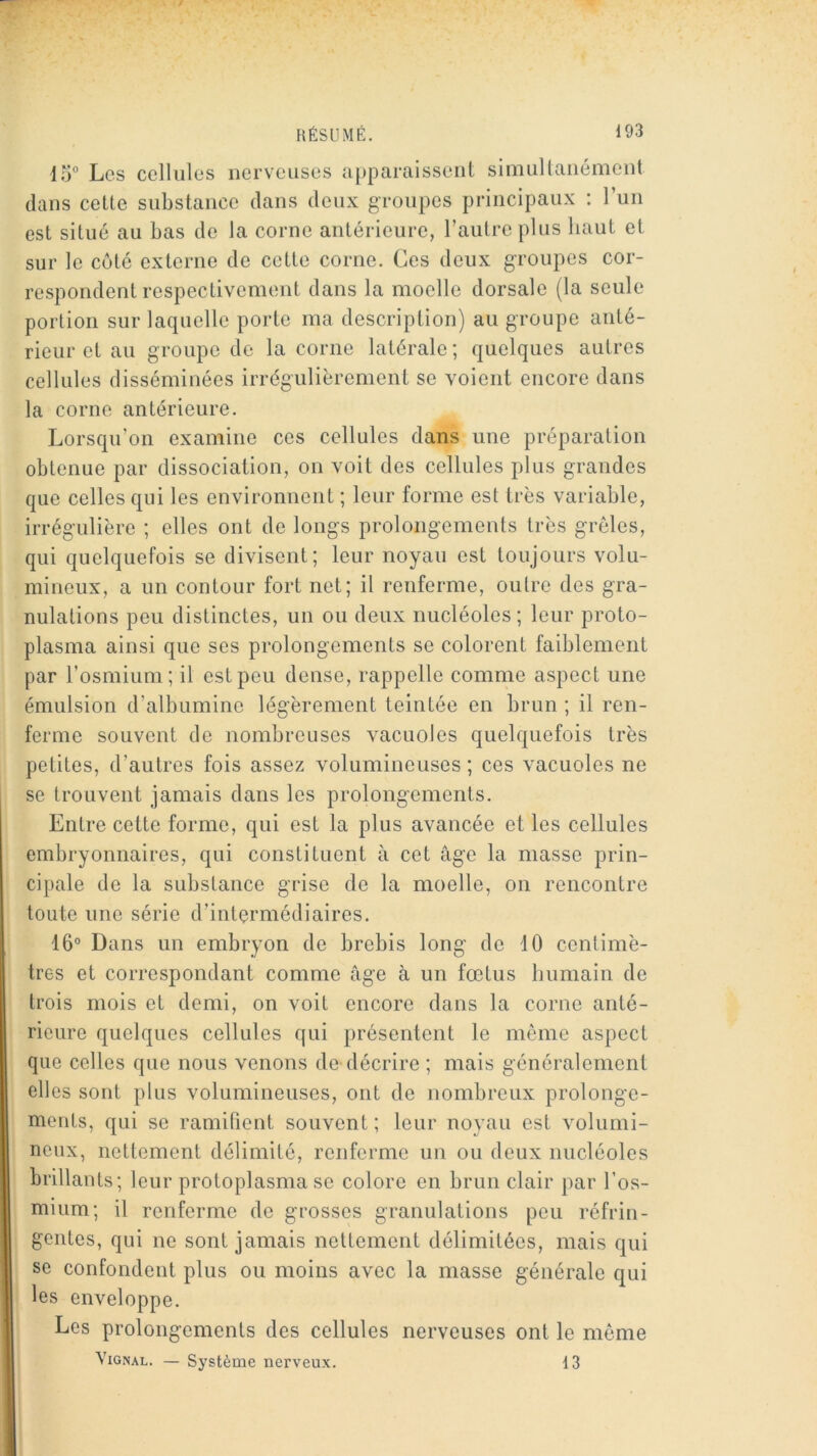 15° Les cellules nerveuses a})paraisseiit simullaiiément dans cette substance dans deux groupes principaux : l’un est situé au bas de la corne antérieure, l’autre plus haut et sur le côté externe de cette corne. Ces deux groupes cor- respondent respectivement dans la moelle dorsale (la seule portion sur laquelle porte ma description) au groupe anté- rieur et au groupe do la corne latérale; quelques autres cellules disséminées irrégulièrement se voient encore dans la corne antérieure. Lorsqu’on examine ces cellules dans une préparation obtenue par dissociation, on voit des cellules plus grandes que celles qui les environnent ; leur forme est très variable, irrégulière ; elles ont de longs prolongements très grêles, qui quelquefois se divisent; leur noyau est toujours volu- mineux, a un contour fort net; il renferme, outre des gra- nulations peu distinctes, un ou deux nucléoles ; leur proto- plasma ainsi que ses prolongements se colorent faiblement par l’osmium; il est peu dense, rappelle comme aspect une émulsion d’albumine légèrement teintée en brun ; il ren- ferme souvent de nombreuses vacuoles quelquefois très petites, d’autres fois assez volumineuses ; ces vacuoles ne se trouvent jamais dans les prolongements. Entre cette forme, qui est la plus avancée et les cellules embryonnaires, qui constituent à cet âge la masse prin- cipale de la substance grise de la moelle, on rencontre toute une série d’intermédiaires. 16° Dans un embryon de brebis long de 10 centimè- tres et correspondant comme âge à un fœtus humain de trois mois et demi, on voit encore dans la corne anté- rieure quelques cellules qui présentent le même aspect que celles que nous venons de-décrire ; mais généralement elles sont plus volumineuses, ont de nombreux prolonge- ments, qui se ramifient souvent ; leur noyau est volumi- neux, nettement délimité, renferme un ou deux nucléoles brillants; leur protoplasma se colore en brun clair par l’os- mium; il renferme de grosses granulations peu réfrin- gentes, qui ne sont jamais nettement délimitées, mais qui se confondent plus ou moins avec la niasse générale qui les enveloppe. Les prolongements des cellules nerveuses ont le même ViGNAL. — Système nerveux. 13