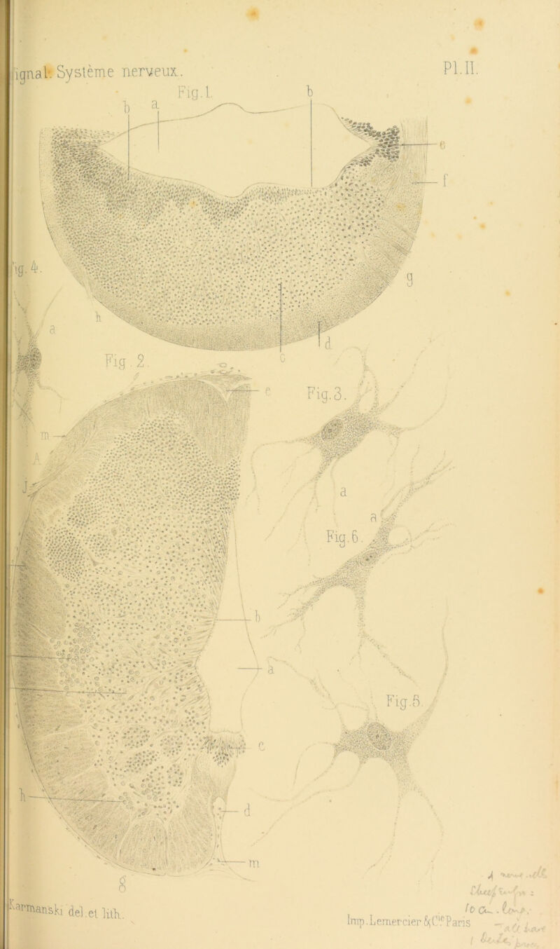 m ignal* Système nerveia 1 PUI. ,,ss^' ' -4|e- S' y d V -F 0 *• * * « ‘ m 0- y' t * V ^ ^ t V.. 4 • ■ ■ ' - 0 • ' ' A ^ ' • '• ■•«• ' î* •' I r****S*' <r ' * *iiT ^Sll/■'* ' . ./•••'“V .*V*V,: ,i^.. .:•' ■ ■ .5- .:\ ^ * i.-v; ■••- -;■:! . ■ -i. • V V- V 0 *\ .Wï ;•'•:• ^ • 4 4^. i/1,- -•V* . ,.■ If'^y %'';yys°T d w- ■TTl f'ai'Tnanski del.tt lüli. <>v4.-v.-4 -<^A ( Irap .Lemercier &;(X‘^Pari5 . ic^.- A' :<^ v.