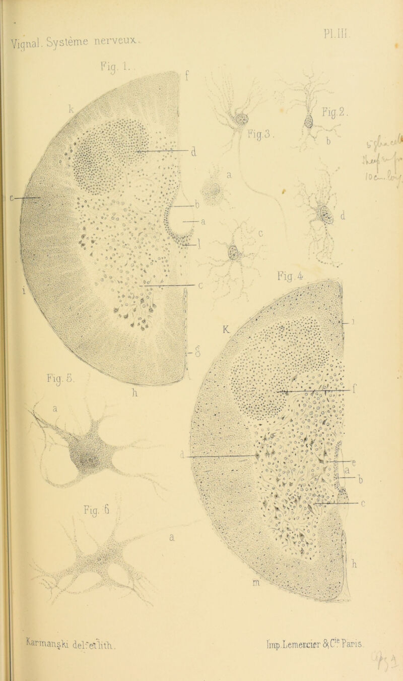 Vigiial. Système nerveux. PI.111 Karmanski delfellith. lmp, L em ercier C’ ® ? an s. '/> r a,