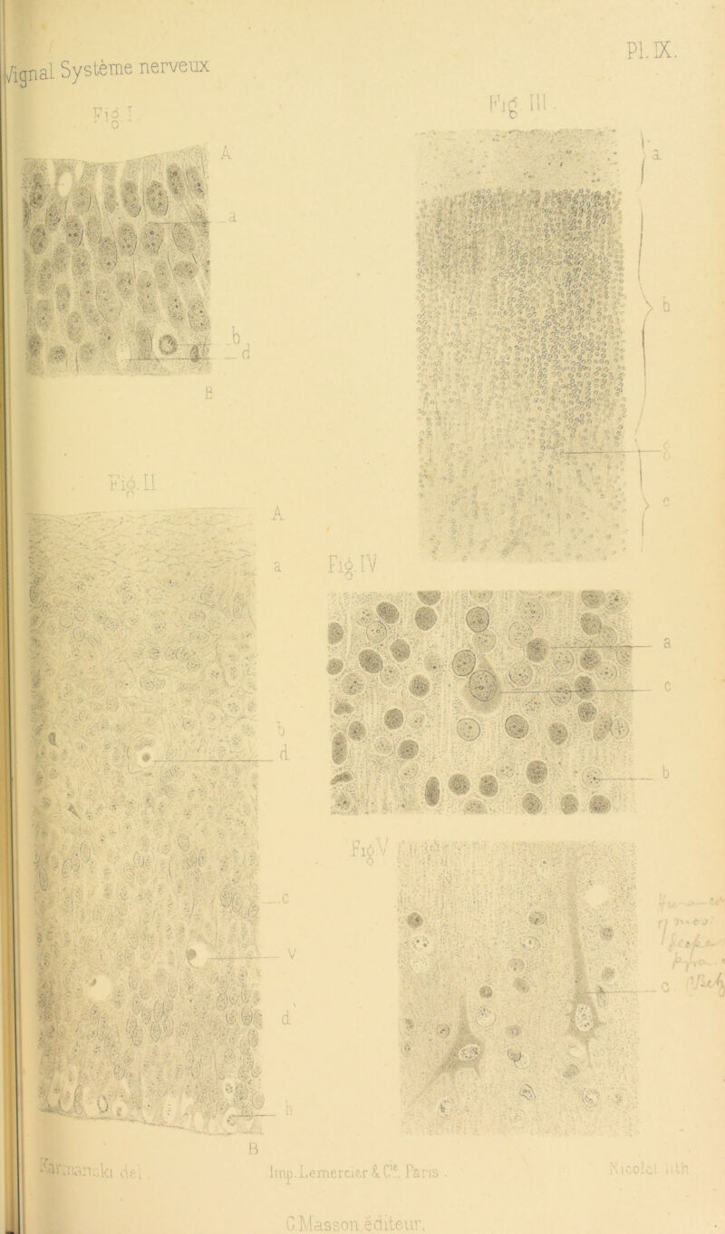 Pl.IX. :ki B Irnp. Lemercic.r ^ C®. Ta ns G.Plasson édite-ur. l» tcoJci {î h