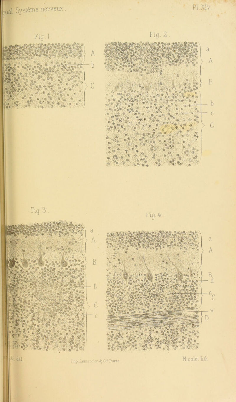 P1..A1V Fig s. Il, del. <n •.•:<2>-»fc. •>.; 'è . .© -Ois^sf • 8 a . O--® ■ 3. ® s «*' ;:mvi On- , . • ®•■a&®rn©.a .':*V.'*©■ '='(iv- ®. :.© (£) ®'îps ■- *vi •©. ,ô_x-;OS ''fe ©;;® -• ,© © ® g,. ® e O a & &, ©<:ô ©” ’îs.' ® m.' ®'® «• ■ .«KV•■>• .:-;-:bt-;•• • «•• ® ' ' ■ li, ': ® ' ® ' - <È/ '- -5 ■ ® ■ .. ® : ' 9 a A H »■ ôr, «n ‘ SV» '.%».® ® é'<î? S^- ©*^»S ®- ^ IV -» Û “*-V f,--a> -^e-a <?• 6 % ,.-e împ Leraeroiftr \ C^.' Pans . Micolet lltll