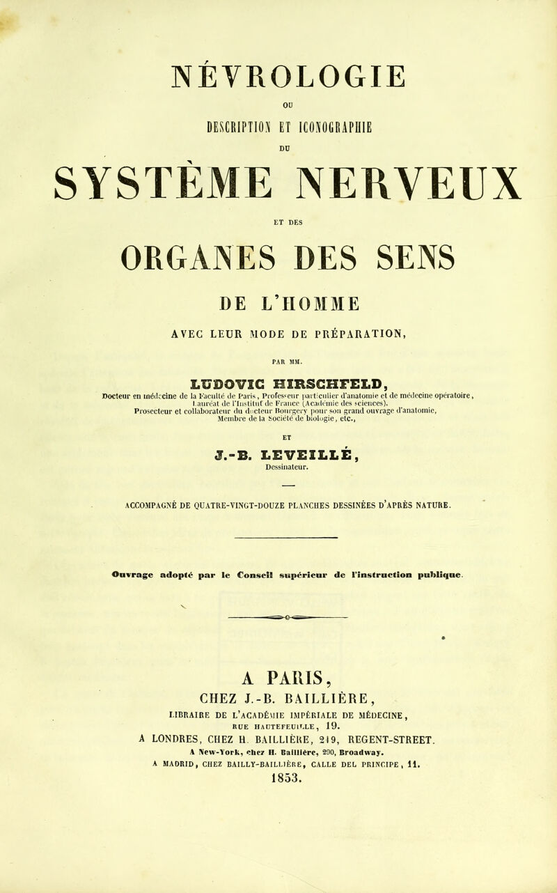 OU DESCRIPTION ET ICONOGRAPHIE DD SYSTÈME NERVEUX ET DES ORGANES DES SENS DE L’HOMME AVEC LEUR MODE DE PRÉPARATION, PAR MM. LUDOVIC ZimSGHFELD, Docîeur en médecine de la Faculté de Paris, Professeur particulier d'anatomie et de médecine opératoire, l.aurëat de l'Institut de France (Académie des sciences). Prosecteur et collaborateur du docteur Bourgery pour son grand ouvrage d'anatomie, Membre de la Société de biolugie, etc., ET S.-B. LEVEILLÉ, Dessinateur. ACCOMPAGNÉ DE QUATRE-VINGT-DOUZE PLANCHES DESSINÉES D’APRÈS NATURE. Ouvrage adopté par le Conseil supérieur de l’instruction publique. A PARIS, CHEZ J.-B. BAILLIÈRE, LIBRAIRE DE L’aCADÉMIE IMPÉRIALE DE MÉDECINE, RUE HAUTEFEUILLE, 19. A LONDRES, CHEZ H BAILLIÈRE, 219, REGENT-STREET. A New-York, cher H. Baillière, 290, Broadway. A MADRID, CHEZ BAILLY-BAILLIÈRE, CALLE DEL PRINCIPE, II. 1853.