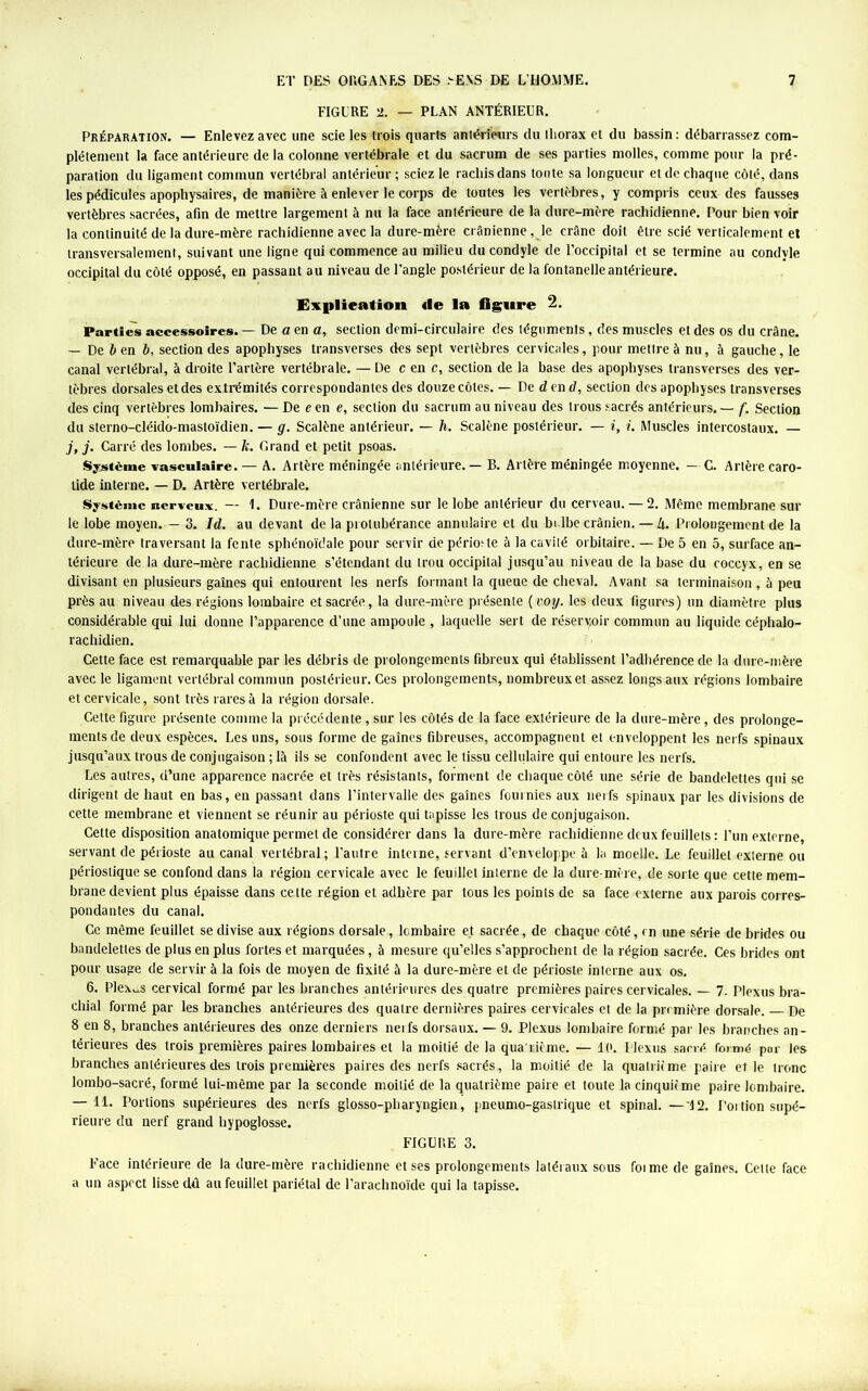 FIGURE 1. — PLAN ANTÉRIEUR. Préparation. — Enlevez avec une scie les trois quarts antérieurs du tliorax et du bassin : débarrassez com- plètement la face antérieure de la colonne vertébrale et du sacrum de ses parties molles, comme pour la pré- paration du ligament commun vertébral antérieur ; sciez le rachis dans toute sa longueur et de chaque côté, dans les pédicules apophysaires, de manière à enlever le corps de toutes les vertèbres, y compris ceux des fausses vertèbres sacrées, afin de mettre largement à nu la face antérieure de la dure-mère rachidienne. Pour bien voir la continuité de la dure-mère rachidienne avec la dure-mère crânienne, le crâne doit être scié verticalement et transversalement, suivant une ligne qui commence au milieu du condyle de l’occipital et se termine au condvle occipital du côté opposé, en passant au niveau de l’angle postérieur de la fontanelle antérieure. Explication de la figure 2. Parties accessoires. — De a en a, section demi-circulaire des téguments, des muscles et des os du crâne. — De b en b, section des apophyses transverses des sept vertèbres cervicales, pour mettre à nu, à gauche, le canal vertébral, à droite l’artère vertébrale. — De c en c, section de la base des apophyses transverses des ver- tèbres dorsales et des extrémités correspondantes des douze côtes. — De d en d, section des apophyses transverses des cinq vertèbres lombaires. — De e en e, section du sacrum au niveau des trous sacrés antérieurs. — f. Section du sterno-cléido-mastoïdien. — g. Scalène antérieur. — h. Scalène postérieur. — i, i. Muscles intercostaux. — j, j. Carré des lombes. — k. Grand et petit psoas. Système vasculaire. — A. Artère méningée antérieure. — B. Artère méningée moyenne. — C. Artère caro- tide interne. — D. Artère vertébrale. Système nerveux. — 1. Dure-mère crânienne sur le lobe antérieur du cerveau. — 2. Même membrane sur le lobe moyen. — 3. Id. au devant de la protubérance annulaire et du bulbe crânien. — U. Prolongement de la dure-mère traversant la fente sphénoïdale pour servir de périoste à la cavité orbitaire. — De 5 en 5, surface an- térieure de la dure-mère rachidienne s’étendant du trou occipital jusqu’au niveau de la base du coccyx, en se divisant en plusieurs gaines qui entourent les nerfs formant la queue de cheval. Avant sa terminaison , à peu près au niveau des régions lombaire et sacrée, la dure-mère présente ( voy. les deux figures) un diamètre plus considérable qui lui donne l’apparence d’une ampoule , laquelle sert de réservoir commun au liquide céphalo- rachidien. Cette face est remarquable par les débris de prolongements fibreux qui établissent l’adhérence de la dure-mère avec le ligament vertébral commun postérieur. Ces prolongements, nombreux et assez longs aux régions lombaire et cervicale, sont très rares à la région dorsale. Cette figure présente comme la précédente, sur les côtés de la face extérieure de la dure-mère, des prolonge- ments de deux espèces. Les uns, sous forme de gaines fibreuses, accompagnent et enveloppent les nerfs spinaux jusqu’aux trous de conjugaison ; là ils se confondent avec le tissu cellulaire qui entoure les nerfs. Les autres, d’une apparence nacrée et très résistants, forment de chaque côté une série de bandelettes qui se dirigent de haut en bas, en passant dans l’intervalle des gaines fournies aux nerfs spinaux par les divisions de cette membrane et viennent se réunir au périoste qui tapisse les trous de conjugaison. Cette disposition anatomique permet de considérer dans la dure-mère rachidienne deux feuillets : l’un externe, servant de périoste au canal vertébral; l'autre interne, servant d’enveloppe à la moelle. Le feuillet externe ou périostique se confond dans la région cervicale avec le feuillet interne de la dure-mère, de sorte que cette mem- brane devient plus épaisse dans cette région et adhère par tous les points de sa face externe aux parois corres- pondantes du canal. Ce même feuillet se divise aux régions dorsale, lombaire et sacrée, de chaque côté, rn une série de brides ou bandelettes de plus en plus fortes et marquées, à mesure qu’elles s’approchent de la région sacrée. Ces brides ont pour usage de servir à la fois de moyen de fixité à la dure-mère et de périoste interne aux os. 6. Plexus cervical formé par les branches antérieures des quatre premières paires cervicales. — 7. Plexus bra- chial formé par les branches antérieures des quatre dernières paires cervicales et de la première dorsale. — De 8 en 8, branches antérieures des onze derniers nerfs dorsaux. — 9. Plexus iombaire formé par les branches an- térieures des trois premières paires lombaires et la moitié de la quatrième. — 10. Plexus sacré formé par les branches antérieures des trois premières paires des nerfs sacrés, la moitié de la qualrnme paire elle tronc lombo-sacré, formé lui-même par la seconde moitié de la quatrième paire et toute la cinquième paire lombaire. — 11. Portions supérieures des nerfs glosso-pbaryngien, pneumo-gaslrique et spinal. —'12. Portion supé- rieure du nerf grand hypoglosse. FIGURE 3. Face intérieure de la dure-mère rachidienne et ses prolongements latéraux sous foi me de gaines. Cette face a un aspect lisse dû au feuillet pariétal de l’arachnoïde qui la tapisse.
