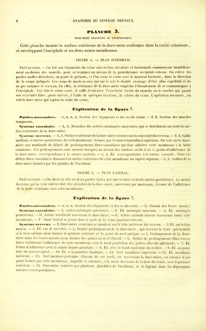 PLANCHE 3. DURE-MÈRE CRANIENNE OU ENCÉPHALIQUE. Cette planche montre la surface extérieure de la dure-mère renfermée dans la cavité crânienne , et enveloppant l’encéphale et ses deux autres membranes. FIGURE I. — PLAN SUPÉRIEUR. Préparation. — On fait aux téguments du crâne une section circulaire et horizontale commençant immédiate- ment au-dessus des sourcils, pour se terminer au niveau de la protubérance occipitale externe. On relève les parties molles détachées; on gratte le périoste, et l’on casse le crâne avec le marteau hachette, dans la direction de la coupe indiquée. Les coups de marteau secs ont sur la scie le double avantage d’èlrc plus expéditifs et de ne pas entamer le cerveau. En effet, la résistance de la dure-mère cmpècbe l’ébranlement de se communiquer à l’encéphale. Une fois le crâne cassé, il suffit d'enfoncer l’extrémité étroite du manche ou le crochet qui garnit son extrémité libre , pour enlever, à l'aide de quelques tractions, la calotte du crâne. L’opération terminée , on voit la dure-mère qui tapisse la voûte du crâne. Explication île la fleure 1. Parties accessoires. - a, a, fl, a. Section des téguments cl des os du crâne. — b, b. Section des muscles temporaux. Système vasculaire. — A, A. Branches des artères méningées moyennes,qui se distribuent sur toute la sur- face extérieure de la dure-mère. Système nerveux. — 1,1. Surface extérieure de la dure-mère recouvrant la convexitédu cerveau.—2,2. Saillie médiane et antéro-postérieure de celtemembrane, formée par le sinus longitudinal supérieur. On voit sur la dure- mère une multitude de débris de prolongements fibro-vasculaires qui font adhérer celte membrane à la boîte crânienne. Ces prolongements sont surtout marqués au niveau des sutures. — De 3 en 3, points d’adhérence de la dure-mère, correspondants à la suture sagittale. — lx, A. Id. correspondants à la suture coronale. Tous ces débris fibro-vasculaires donnent à la surface extérieure de cette membrane un aspect rugueux. —5, 5. Saillies de la dure-mère formées par les glandes de Pacchioni. FIGURE 2. — PLAN LATÉRAL. Préparation. —On divise la tète en deux parties égales par une section verticale antéro-postérieure. La moitié du crâne qu’on veut enlever doit être détachée de la dure-mère, morceaux par morceaux, à cause de l’adhérence de la boîte crânienne avec cette membrane. Explication de la figure 2. Parties accessoires. —«, fl, fl. Section des téguments et des os du crâne. — b. Cloison des fosses nasales. Système vasculaire.—A. Artère méningée antérieure.—B. Id. méningée moyenne.— C. Id. méningée postérieure. — D. Artère vertébrale traversant la dure-mère. — E. Artère carotide interne traversant aussi cette membrane. — F. Sinus latéral se jetant dans le golfe de la veine jugulaire interne. Système nerveux. — 1. Dure-mère crânienne se moulant sur le lobe antérieur du cerveau. — 2 .Id. sur le lobe moyen. — 3. Id. sur Je cervelet. — A. Double prolongement de la dure-mère , qui traverse la fente sphénoïdale et le trou optique pour former le périoste orbitaire et la gaîne du nerf optique. — 5. Prolongement de la dure- mère dans les fosses nasales pour former des gaînes au nerf olfactif. — 6. Débris de prolongements fibro-vascu- laires établissant l’adhérence de cette membrane avec le bord postérieur des petites ailes du sphénoïde. — 7. Id. Points d'adhérence avec la suture fronto-pariétale. — 8. Id. avec le bord supérieur du rocher. —9. Id. au pour- tour du trou occipital. — 10. fd. à la gouttière basilaire. —11. Nerf maxillaire supérieur. —12. Id. maxillaire inférieur. — 13. Nerf pneumo-gaslrique. Chacun de ces nerfs, en traversant la dure-mère, est entouré d’une gaîne formée par celte jnembrane, laquelle se continue, à la sortie des trous de la base du crâne, avec le périoste extérieur. — IA. Dure-mère soulevée par plusieurs glandules de Pacchioni, et se logeant dans les dépressions osseuses correspondantes.