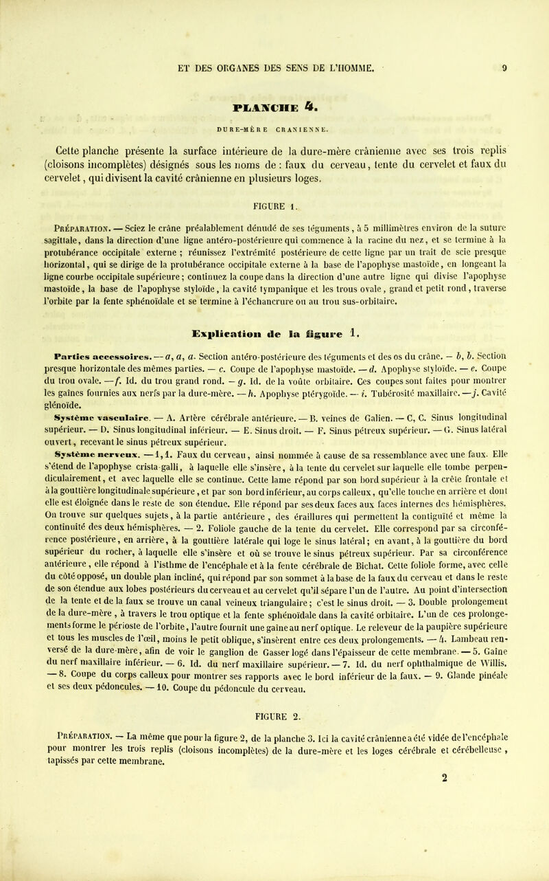 PLANCHE 4. DURE-MÈRE CRANIENNE. Cette planche présente la surface intérieure de la dure-mère crânienne avec ses trois replis (cloisons incomplètes) désignés sous les noms de : faux du cerveau, tente du cervelet et faux du cervelet, qui divisent la cavité crânienne en plusieurs loges. FIGURE 1. Préparation. — Sciez le crâne préalablement dénudé de ses téguments, à 5 millimètres environ de la suture sagittale, dans la direction d’une ligne antéro-postérieure qui commence à la racine du nez, et se termine à la protubérance occipitale externe ; réunissez l’extrémité postérieure de cette ligne par un trait de scie presque horizontal, qui se dirige de la protubérance occipitale externe à la base de l’apophyse mastoïde, en longeant la ligne courbe occipitale supérieure ; continuez la coupe dans la direction d’une autre ligne qui divise l’apophyse mastoïde, la base de l’apophyse styloïde, la cavité tympanique et les trous ovale, grand et petit rond, traverse l’orbite par la fente sphénoïdale et se termine à l’échancrure ou au trou sus-orbitaire. Explication de ia figure 1. Parties accessoires. — Cf, a, a■ Section antéro-postérieure des téguments et des os du crâne. — b, b. Section presque horizontale des mêmes parties. — c. Coupe de l’apophyse mastoïde. — d. Apophyse styloïde. — e. Coupe du trou ovale. —f. Id. du trou grand rond. — g. Id. de la voûte orbitaire. Ces coupes sont faites pour montrer les gaines fournies aux nerfs par la dure-mère. —h. Apophyse ptérygoïde.— i. Tubérosité maxillaire.—j. Cavité glénoïde. Système vasculaire. — A. Artère cérébrale antérieure. — B. veines de Galien. — C, C. Sinus longitudinal supérieur. — D. Sinus longitudinal inférieur. — E. Sinus droit. — F. Sinus pétreux supérieur. —G. Sinus latéral ouvert, recevant le sinus pétreux supérieur. Système nerveux. —1,1. Faux du cerveau, ainsi nommée à cause de sa ressemblance avec une faux- Elle s’étend de l’apophyse crista-galli, à laquelle elle s’insère, à la tente du cervelet sur laquelle elle tombe perpen- diculairement, et avec laquelle elle se continue. Cette lame répond par son bord supérieur à la crête frontale et à la gouttière longitudinale supérieure, et par son bord inférieur, au corps calleux, qu’elle touche en arrière et dont elle est éloignée dans le reste de son étendue. Elle répond par ses deux faces aux faces internes des hémisphères. On trouve sur quelques sujets, à la partie antérieure, des éraillures qui permettent la contiguïté et même la continuité des deux hémisphères. — 2. Foliole gauche de la tente du cervelet. Elle correspond par sa circonfé- rence postérieure, en arrière, à la gouttière latérale qui loge le sinus latéral; en avant, 5 la gouttière du bord supérieur du rocher, à laquelle elle s’insère et où se trouve le sinus pétreux supérieur. Par sa circonférence antérieure, elle répond à l’isthme de l’encéphale et à la fente cérébrale de Bichat. Cette foliole forme, avec celle du côté opposé, un double plan incliné, qui répond par son sommet à la base de la faux du cerveau et dans le reste de son étendue aux lobes postérieurs du cerveau et au cervelet qu’il sépare l’un de l’autre. Au point d’intersection de la tente et de la faux se trouve un canal veineux triangulaire ; c’est le sinus droit. — 3. Double prolongement de la dure-mère , à travers le trou optique et la fente sphénoïdale dans la cavité orbitaire. L’un de ces prolonge- ments forme le périoste de l’orbite, l’autre fournit une gaine au nerf optique. Le releveur de la paupière supérieure et tous les muscles de l’œil, moins le petit oblique, s’insèrent entre ces deux prolongements. — A. Lambeau ren- versé de la dure-mère, afin de voir le ganglion de Gasserlogé dans l’épaisseur de cette membrane. — 5. Gaine du nerf maxillaire inférieur. — 6. Id. du nerf maxillaire supérieur. — ?. Id. du nerf ophthalmique de Willis. 8. Coupe du corps calleux pour montrer ses rapports avec le bord inférieur de la faux. — 9. Glande pinéalc et scs deux pédoncules. —10. Coupe du pédoncule du cerveau. FIGURE 2. Préparation. — La même que pour la figure 2, de la planche 3. Ici la cavité crânienne a été vidée de l’encéphale pour montrer les trois replis (cloisons incomplètes) de la dure-mère et les loges cérébrale et cérébelleuse , tapissés par cette membrane. 2