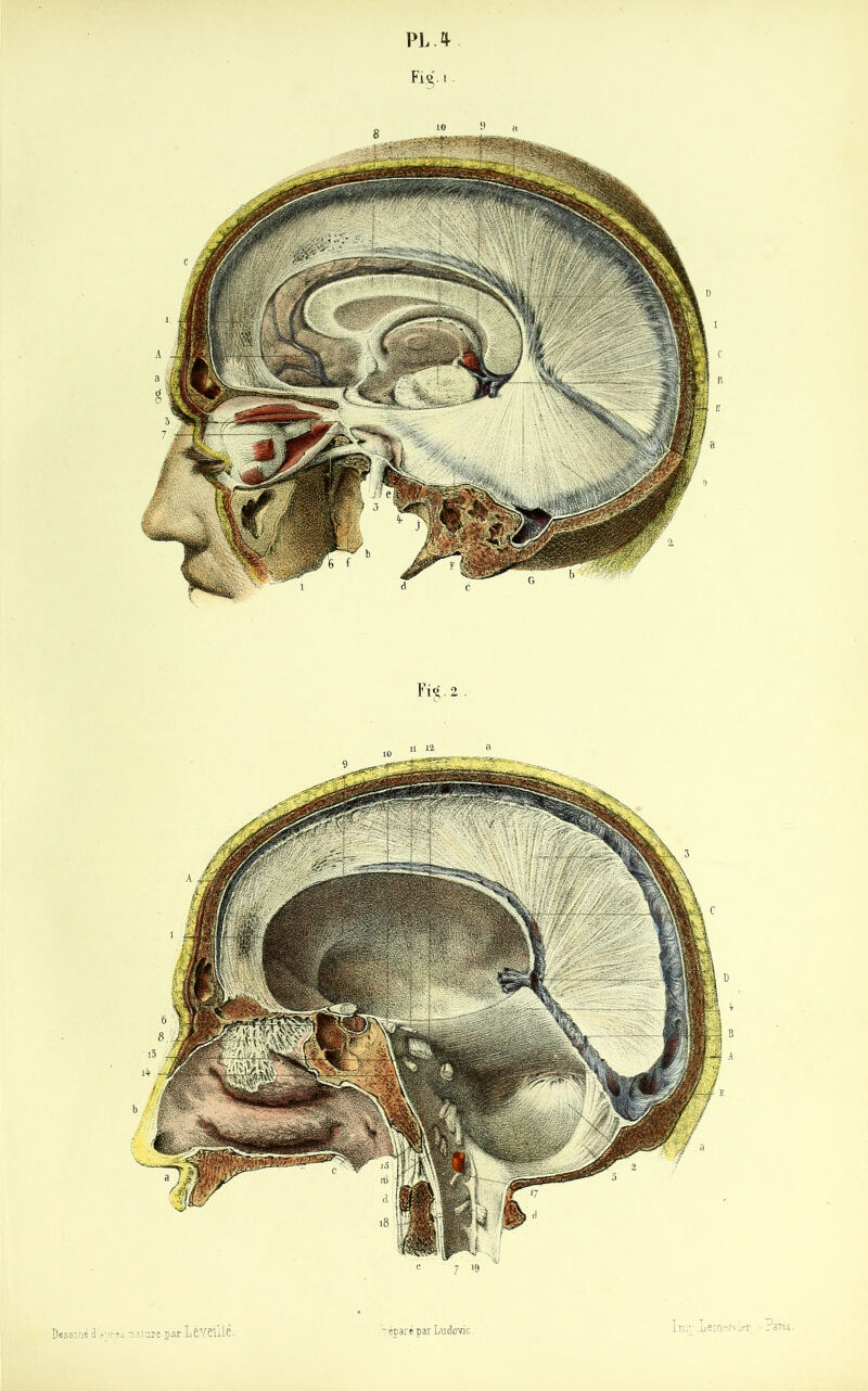 PL A Dessiné d'près Fi §. i