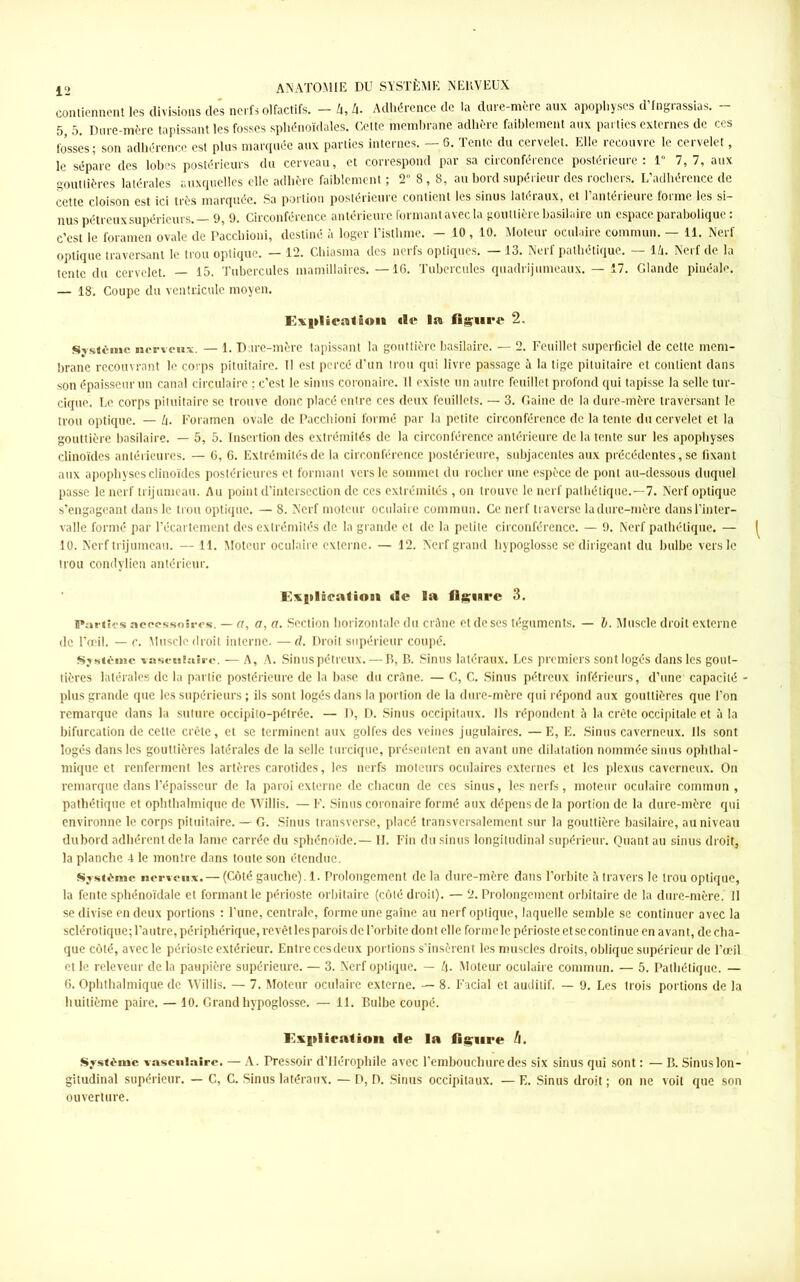 contiennent les divisions des nerfs olfactifs. - Zt, Zi. Adhérence de la dure-mère aux apophyses d’fngrassias. - 5, 5. Dure-mère tapissant les fosses sphénoïdales. Cette membrane adhère faiblement aux parties externes de ces fossés; son adhérence est plus marquée aux parties internes. — 6. Tente du cervelet. Elle recouvre le cervelet, le sépare des lobes postérieurs du cerveau, et correspond par sa circonférence postérieure: 1 7, 7, aux gouttières latérales auxquelles elle adhère faiblement ; 2° 8, 8, au bord supérieur des rochers. L’adhérence de cette cloison est ici très marquée. Sa portion postérieure contient les sinus latéraux, et l’antérieure forme les si- nus pétreux supérieurs.— 9, 9. Circonférence antérieure formantavecla gouttière basilaire un espace parabolique : c’est le foramen ovale de Pacchioni, destiné à loger l’isthme. — 10 , 10. Moteur oculaire commun. — 11. Nerf optique traversant le trou optique. — 12. Chiasma des nerfs optiques. — 13. Nerf pathétique. — lli. Nerf de la tente du cervelet. — 15. Tubercules mamillaires. —16. Tubercules quadrijumeaux. — 17. Glande pinéale. — 18. Coupe du ventricule moyen. Explienlson «le la figure 2, Système nerveux. — 1. Diire-mère tapissant la gouttière basilaire. — 2. Feuillet superficiel de cette mem- brane recouvrant le corps pituitaire. Il est percé d’un trou qui livre passage à la tige pituitaire et contient dans son épaisseur un canal circulaire ; c’est le sinus coronaire. 11 existe un autre feuillet profond qui tapisse la selle tur- cique. Le corps pituitaire se trouve donc placé entre ces deux feuillets. — 3. Gaine de la dure-mère traversant le trou optique. — Zi. Foramen ovale de Pacchioni formé par la petite circonférence de la tente du cervelet et la gouttière basilaire. — 5, 5. Insertion des extrémités de la circonférence antérieure de la tente sur les apophyses clinoïdes antérieures. — 6, 6. Extrémités de la circonférence postérieure, subjacentes aux précédentes, se fixant aux apophyses clinoïdes postérieures et formant vers le sommet du rocher une espèce de pont au-dessous duquel passe le nerf trijumeau. Au point d’intersection de ces extrémités , on trouve le nerf pathétique.—7. Nerf optique s’engageant dans le trou optique. — 8. Nerf moteur oculaire commun. Ce nerf traverse la dure-mère dans l’inter- valle formé par l’écartement des extrémités de la grande et de la petite circonférence. — 9. Nerf pathétique. — 10. Nerf trijumeau. — 11. Moteur oculaire externe. — 12. Nerf grand hypoglosse se dirigeant du bulbe vers le trou condylien antérieur. Explication «le la figure 3. Parties accessoires. — a, a, a. Section horizontale du crâne et de ses téguments. — l. Muscle droit externe de l’œil. — c. Muscle droit interne. — d. Droit supérieur coupé. Système vasculaire. — A, A. Sinuspétreux. — B, B. Sinus latéraux. Les premiers sontlogés dans les gout- tières latérales de la partie postérieure de la base du crâne. — C, C. Sinus pétreux inférieurs, d’une capacité • plus grande que les supérieurs ; ils sont logés dans la portion de la dure-mère qui répond aux gouttières que l’on remarque dans la suture occipito-pétrée. — D, D. Sinus occipitaux. Ils répondent à la crête occipitale et à la bifurcation de cette crête, et se terminent aux golfes des veines jugulaires. — E, E. Sinus caverneux. Ils sont logés dans les gouttières latérales de la selle turciquc, présentent en avant une dilatation nommée sinus ophlhal- mique et renferment les artères carotides, les nerfs moteurs oculaires externes et les plexus caverneux. On remarque dans l’épaisseur de la paroi externe de chacun de ces sinus, les nerfs, moteur oculaire commun, pathétique et ophthalmique de Willis. — F. Sinus coronaire formé aux dépens de la portion de la dure-mère qui environne le corps pituitaire. — G. Sinus transverse, placé transversalement sur la gouttière basilaire, au niveau du bord adhérent delà lame carrée du sphénoïde.— II. Fin du sinus longitudinal supérieur. Quant au sinus droite la planche 4 le montre dans toute son étendue. Système nerveux. — (Côté gauche). 1. Prolongement de la dure-mère dans l’orbite à travers le trou optique, la fente sphénoïdale et formant le périoste orbitaire (côté droit). — 2. Prolongement orbitaire de la dure-mère. Il se divise en deux portions : l’une, centrale, forme une gaine au nerf optique, laquelle semble sc continuer avec la sclérotique; l’autre, périphérique, revêt les parois de l’orbite dont elle formele périoste etse continue en avant, de cha- que côté, avec le périoste extérieur. Entre ces deux portions s’insèrent les muscles droits, oblique supérieur de l’œil et le releveur de la paupière supérieure. — 3. Nerf optique. — Zj. Moteur oculaire commun. — 5. Pathétique. — 6. Ophthalmique de Willis. — 7. Moteur oculaire externe. — 8. Facial et auditif. — 9. Les trois portions de la huitième paire. — 10. Grand hypoglosse. — 11. Bulbe coupé. Explication «le la figure h. Système vasculaire. — A. Pressoir dTIérophile avec l’embouchure des six sinus qui sont : — B. Sinus lon- gitudinal supérieur. — C, C. Sinus latéraux. — D, D. Sinus occipitaux. — E. Sinus droit ; on ne voit que son ouverture.