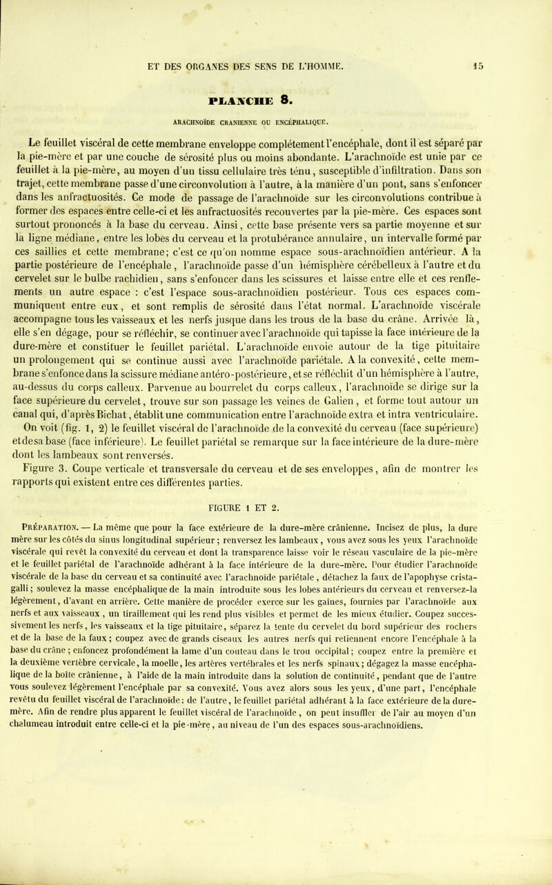 PLANCHE 8. ARACHNOÏDE CRANIENNE OU ENCÉPHALIQUE. Le feuillet viscéral de cette membrane enveloppe complètement l’encéphale, dont il est séparé par la pie-mère et par une couche de sérosité plus ou moins abondante. L’arachnoïde est unie par ce feuillet à la pie-mère, au moyen d’un tissu cellulaire très ténu, susceptible d’infiltration. Dans son trajet, cette membrane passe d’une circonvolution à l’autre, à la manière d’un pont, sans s’enfoncer dans les anfractuosités. Ce mode de passage de l’arachnoïde sur les circonvolutions contribue à former des espaces entre celle-ci et les anfractuosités recouvertes par la pie-mère. Ces espaces sont surtout prononcés à la base du cerveau. Ainsi, cette base présente vers sa partie moyenne et sur la ligne médiane, entre les lobes du cerveau et la protubérance annulaire, un intervalle formé par ces saillies et cette membrane; c’est ce qu’on nomme espace sous-arachnoïdien antérieur. A la partie postérieure de l’encéphale, l’arachnoïde passe d’un hémisphère cérébelleux à l’autre et du cervelet sur le bulbe rachidien, sans s’enfoncer dans les scissures et laisse entre elle et ces renfle- ments un autre espace : c’est l’espace sous-arachnoïdien postérieur. Tous ces espaces com- muniquent entre eux, et sont remplis de sérosité dans l’état normal. L’arachnoïde viscérale accompagne tous les vaisseaux et les nerfs jusque dans les trous de la base du crâne. Arrivée là, elle s’en dégage, pour se réfléchir, se continuer avec l’arachnoïde qui tapisse la face intérieure de la dure-mère et constituer le feuillet pariétal. L’arachnoïde envoie autour de la tige pituitaire un prolongement qui se continue aussi avec l’arachnoïde pariétale. A la convexité, cette mem- brane s’enfonce dans la scissure médiane antéro-postérieure, et se l’éfléchit d’un hémisphère à l’autre, au-dessus du corps calleux. Parvenue au bourrelet du corps calleux, l’arachnoïde se dirige sur la face supérieure du cervelet, trouve sur son passage les veines de Galien, et forme tout autour un canal qui, d’après Bichat, établit une communication entre l’arachnoïde extra et intra ventriculaire. On voit (fig. i, 2) le feuillet viscéral de l’arachnoïde de la convexité du cerveau (face supérieure) etdesabase (face inférieure). Le feuillet pariétal se remarque sur la face intérieure de la dure-mère dont les lambeaux sont renversés. Figure 3. Coupe verticale et transversale du cerveau et de ses enveloppes, afin de montrer les rapports qui existent entre ces differentes parties. FIGURE 1 ET 2. Préparation. — La même que pour la face extérieure de la dure-mère crânienne. Tncisez de plus, la dure mère sur les côtés du sinus longitudinal supérieur ; renversez les lambeaux, vous avez sous les yeux l’arachnoïde viscérale qui revêt la convexité du cerveau et dont la transparence laisse voir le réseau vasculaire de la pie-mère et le feuillet pariétal de l’arachnoïde adhérant à la face intérieure de la dure-mère. Pour étudier l’arachnoïde viscérale de la base du cerveau et sa continuité avec l’arachnoïde pariétale, détachez la faux de l’apophyse crista- galli ; soulevez la masse encéphalique de la main introduite sous les lobes antérieurs du cerveau et renvcrsez-la légèrement, d’avant en arrière. Cette manière de procéder exerce sur les gaines, fournies par l’arachnoïde aux nerfs et aux vaisseaux , un tiraillement qui les rend plus visibles et permet de les mieux étudier. Coupez succes- sivement les nerfs, les vaisseaux et la tige pituitaire, séparez la tente du cervelet du bord supérieur des rochers et de la base de la faux ; coupez avec de grands ciseaux les autres nerfs qui retiennent encore l’encéphale à la base du crâne ; enfoncez profondément la lame d’un couteau dans le trou occipital ; coupez entre la première et la deuxième vertèbre cervicale, la moelle, les artères vertébrales et les nerfs spinaux; dégagez la masse encépha- lique de la boîte crânienne, à l’aide de la main introduite dans la solution de continuité, pendant que de l’antre vous soulevez légèrement l’encéphale par sa convexité. Vous avez alors sous les yeux, d’une part, l’encéphale revêtu du feuillet viscéral de l’arachnoïde; de l’autre, le feuillet pariétal adhérant à la face extérieure delà dure- mère. Afin de rendre plus apparent le feuillet viscéral de l’arachnoïde, on peut insuffler de l’air au moyen d’un chalumeau introduit entre celle-ci et la pie-mère, au niveau de l’un des espaces sous-arachnoïdiens.