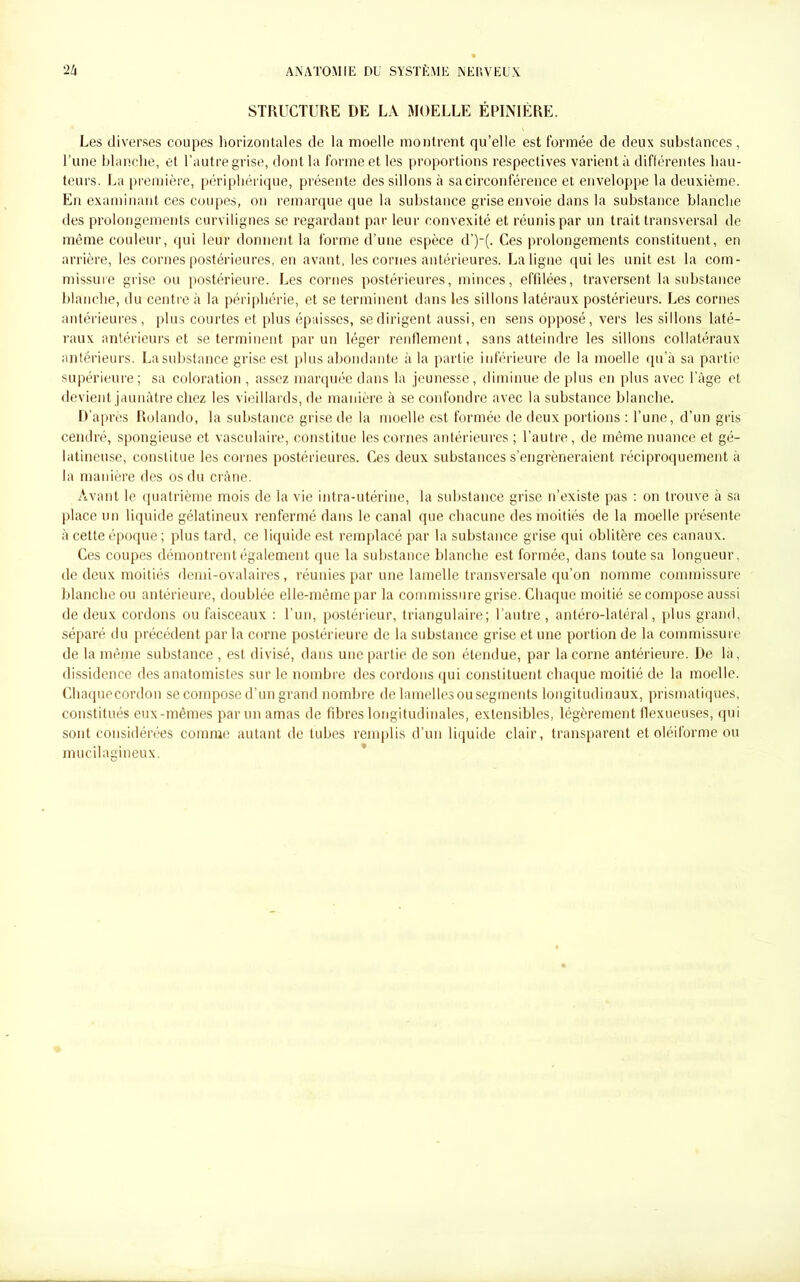 STRUCTURE DE LA MOELLE ÉPINIÈRE. Les diverses coupes horizontales de la moelle montrent qu’elle est formée de deux substances, l’une blanche, et l’autre grise, dont la forme et les proportions respectives varient à différentes hau- teurs. La première, périphérique, présente dessillons à sa circonférence et enveloppe la deuxième. En examinant ces coupes, on remarque que la substance grise envoie dans la substance blanche des prolongements curvilignes se regardant par leur convexité et réunis par un trait transversal de même couleur, qui leur donnent la forme d’une espèce d’)-(. Ces prolongements constituent, en arrière, les cornes postérieures, en avant, les cornes antérieures. La ligne qui les unit est la com- missure grise ou postérieure. Les cornes postérieures, minces, effilées, traversent la substance blanche, du centre à la périphérie, et se terminent dans les sillons latéraux postérieurs. Les cornes antérieures, plus courtes et plus épaisses, se dirigent aussi, en sens opposé, vers les sillons laté- raux antérieurs et se terminent par un léger renflement, sans atteindre les sillons collatéraux antérieurs. La substance grise est plus abondante à la partie inférieure de la moelle qu’à sa partie supérieure; sa coloration , assez marquée dans la jeunesse, diminue de plus en plus avec l’âge et devient jaunâtre chez les vieillards, de manière à se confondre avec la substance blanche. D’après Rolando, la substance grise de la moelle est formée de deux portions : l’une, d’un gris cendré, spongieuse et vasculaire, constitue les cornes antérieures ; l’autre, de même nuance et gé- latineuse, constitue les cornes postérieures. Ces deux substances s’engrèneraient réciproquement à la manière des os du crâne. Avant le quatrième mois de la vie intra-utérine, la substance grise n’existe pas : on trouve à sa place un liquide gélatineux renfermé dans le canal que chacune des moitiés de la moelle présente à cette époque ; plus tard, ce liquide est remplacé par la substance grise qui oblitère ces canaux. Ces coupes démontrent également que la substance blanche est formée, dans toute sa longueur, de deux moitiés demi-ovalaires, réunies par une lamelle transversale qu’on nomme commissure blanche ou antérieure, doublée elle-même par la commissure grise. Chaque moitié se compose aussi de deux cordons ou faisceaux : l’un, postérieur, triangulaire; l’autre, antéro-latéral, plus grand, séparé du précédent par la corne postérieure de la substance grise et une portion de la commissure de la même substance , est divisé, dans une partie de son étendue, par la corne antérieure. De là, dissidence des anatomistes sur le nombre des cordons qui constituent chaque moitié de la moelle. Chaquecordon se compose d’un grand nombre de lamelles ou segments longitudinaux, prismatiques, constitués eux-mêmes par un amas de fibres longitudinales, extensibles, légèrement ffexueuses, qui sont considérées comme autant de tubes remplis d’un liquide clair, transparent et oléiforme ou mucilagineux.