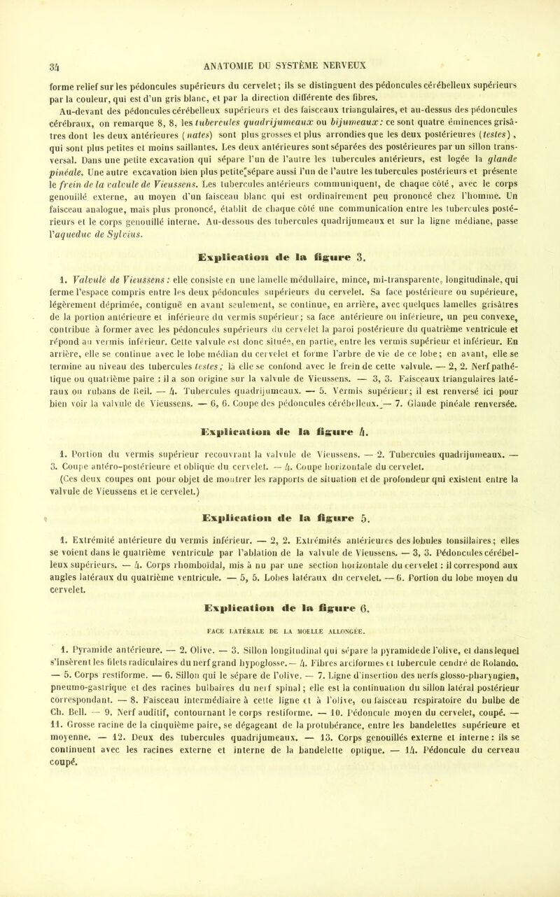 forme relief sur les pédoncules supérieurs du cervelet; ils se distinguent des pédoncules cérébelleux supérieurs par la couleur, qui est d’un gris blanc, et par la direction différente des fibres. Au-devant des pédoncules cérébelleux supérieurs et des faisceaux triangulaires, et au-dessus des pédoncules cérébraux, on remarque 8, 8, les tubercules quadrijumeaux ou bijumeaux: ce sont quatre éminences grisâ- tres dont les deux antérieures ( nates) sont plus grosses et plus arrondies que les deux postérieures {testes), qui sont plus petites et moins saillantes. Les deux antérieures sont séparées des postérieures par un sillon trans- versal. Dans une petite excavation qui sépare l’un de l’autre les tubercules antérieurs, est logée la glande pinéale. Une autre excavation bien plus petite'sépare aussi l’un de l’autre les tubercules postérieurs et présente le frein de la valvule de Vieussens. Les tubercules antérieurs communiquent, de chaque côté, avec le corps genouillé externe, au moyen d’un faisceau blanc qui est ordinairement peu prononcé chez l’homme. Un faisceau analogue, mais plus prononcé, établit de chaque côté une communication entre les tubercules posté- rieurs et le corps genouillé interne. Au-dessous des tubercules quadrijumeaux et sur la ligne médiane, passe l'aqueduc de Sylvius. Explieation «le la figure 3. 1. Valvule de Vieussens : elle consiste en une lamelle médullaire, mince, mi-transparente, longitudinale, qui ferme l’espace compris entre les deux pédoncules supérieurs du cervelet. Sa face postérieure ou supérieure, légèrement déprimée, contiguë en avant seulement, se continue, en arrière, avec quelques lamelles grisâtres de Ja portion antérieure et inférieure du vermis supérieur; sa face antérieure ou inférieure, un peu convexe, contribue à former avec les pédoncules supérieurs du cervelet la paroi postérieure du quatrième ventricule et répond au vendis inférieur. Cette valvule, est donc située, en partie, entre les vermis supérieur et inférieur. En arrière, elle se continue avec le lobe médian du cervelet et forme l’arbre de vie de ce lobe; en avant, elle se termine au niveau des tubercules lestes; là elle se confond avec le frein de cette valvule. — 2, 2. Nerf pathé- tique ou quatrième paire : il a son origine sur la valvule de Vieussens. — 3, 3. Faisceaux triangulaires laté- raux ou rubans de Reii. — 4. Tubercules quadrijumeaux. — 5. Vermis supérieur; il est renversé ici pour bien voir la valvule de Vieussens. — 6, 6. Coupe des pédoncules cérébelleux.7. Glande pinéale renversée. Explieaiiuii «le la figure h. 1. Portion du vermis supérieur recouvrant la valvule de Vieussens. — 2. Tubercules quadrijumeaux. — 3. Coupe antéro-postérieure et oblique du cervelet. — 4» Coupe horizontale du cervelet. (Ces deux coupes ont pour objet de montrer les rapports de situation et de profondeur qui existent entre la valvule de Vieussens et le cervelet.) Explication «le la figure 5. 1. Extrémité antérieure du vermis inférieur. — 2, 2. Extrémités antérieures des lobules tonsillaires ; elles se voient dans le quatrième ventricule par l’ablation de la valvule de Vieussens. — 3, 3. Pédoncules cérébel- leux supérieurs. — 4. Corps rhomboïdal, mis à nu par une section horizontale du cervelet : il correspond aux angles latéraux du quatrième ventricule. — 5, 5. Lobes latéraux du cervelet. —6. Portion du lobe moyen du cervelet. Explication «le la figure Q„ FACE LATÉRALE DE LA MOELLE ALLONGÉE. 1. Pyramide antérieure. — 2. Olive. — 3. Sillon longitudinal qui sépare la pyramide de l’olive, et dans lequel s’insèrent les filets radiculaires du nerf grand hypoglosse. — 4. Fibres arciformes et tubercule cendré de Roland». — 5. Corps restiforme. — 6. Sillon qui le sépare de l’olive. — 7. Ligne d’insertion des nerfs glosso-pharyngien, pneumo-gastrique et des racines bulbaires du nerf spinal ; elle est la continuation du sillon latéral postérieur correspondant. — 8. Faisceau intermédiaire à cette ligne et à l’olive, ou faisceau respiratoire du bulbe de Ch. Bell. — 9. Nerf auditif, contournant le corps restiforme. — 10. Pédoncule moyen du cervelet, coupé. — 11. Grosse racine de la cinquième paire, se dégageant de la protubérance, entre les bandelettes supérieure et moyenne. — 12. Deux des tubercules quadrijumeaux. — 13. Corps genouillés externe et interne: ils se continuent avec les racines externe et interne de la bandelette optique. — 14. Pédoncule du cerveau coupé.