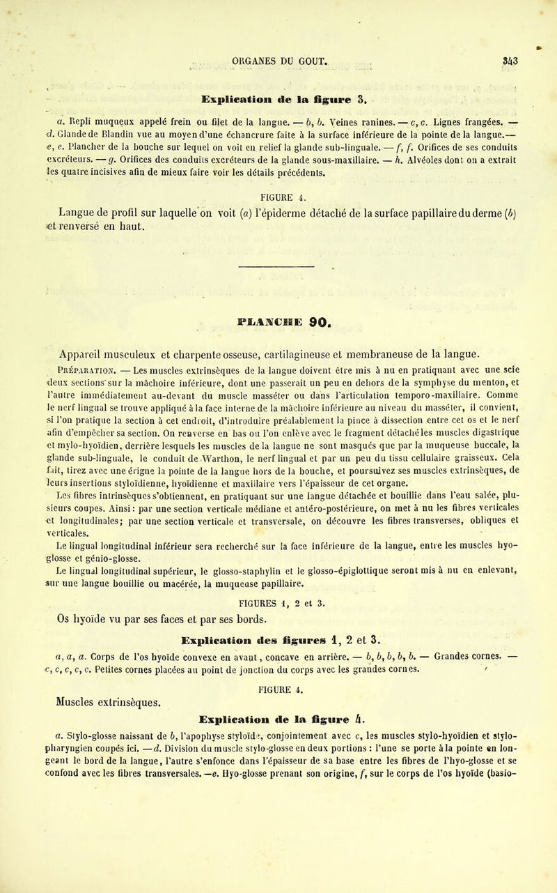 Explication de la figure 3. a. Repli muqueux appelé frein ou filet de la langue. — b, b. Veines ranines. — c, c. Lignes frangées. — d. Glande de Blandin vue au moyen d’une échancrure faite à la surface inférieure de la pointe delà langue.— •e, e. Plancher de la bouche sur lequel on voit en relief la glande sub-linguale. — f, f. Orifices de ses conduits excréteurs. — g. Orifices des conduits excréteurs de la glande sous-maxillaire. — h. Alvéoles dont on a extrait les quatre incisives afin de mieux faire voir les détails précédents. FIGURE 4. Langue de profil sur laquelleon voit (a) l’épiderme détaclié de la surface papillaire du derme (b) fit renversé en haut. FliANfCME 90. Appareil musculeux et charpente osseuse, cartilagineuse et membraneuse de la langue. Préparation. — Les muscles extrinsèques de la langue doivent être mis à nu en pratiquant avec une scie fieux sections'sur la mâchoire inférieure, dont une passerait un peu en dehors de la symphyse du menton, et l’autre immédiatement au-devant du muscle masséter ou dans l’articulation temporo-maxillaire. Comme le nerf lingual se trouve appliqué à la face interne de la mâchoire inférieure au niveau du masséter, il convient, si l’on pratique la section à cet endroit, d’introduire préalablement la pince à dissection entre cet os et le nerf afin d’empêcher sa section. On renverse en bas ou l’on enlève avec le fragment détaché les muscles digastrique et mylo-hyoïdien, derrière lesquels les muscles de la langue ne sont masqués que par la muqueuse buccale, la glande sub-linguale, le conduit de Warthon, le nerf lingual et par un peu du tissu cellulaire graisseux. Cela fait, tirez avec uneérigne la pointe de la langue hors de la bouche, et poursuivez ses muscles extrinsèques, de leurs insertions styloïdienne, hyoïdienne et maxillaire vers l’épaisseur de cet organe. Les fibres intrinsèques s’obtiennent, en pratiquant sur une langue détachée et bouillie dans l’eau salée, plu- sieurs coupes. Ainsi : par une section verticale médiane et antéro-postérieure, on met à nu les fibres verticales •et longitudinales; par une section verticale et transversale, on découvre les fibres transverses, obliques et verticales. Le lingual longitudinal inférieur sera recherché sur la face inférieure de la langue, entre les muscles hyo- glosse et génio-glosse. Le lingual longitudinal supérieur, le glosso-staphylin et le glosso-épiglotlique seront mis à nu en enlevant, sur une langue bouillie ou macérée, la muqueuse papillaire. FIGURES 1, 2 et 3. Os hyoïde vu par ses faces et par ses bords. Explication des figures 1, 2 et 3. a, a, a. Corps de l’os hyoïde convexe en avant, concave en arrière. — 6, 6,6,6, b. — Grandes cornes. — <c, c, c, c, c. Petites cornes placées au point de jonction du corps avec les grandes cornes. ' FIGURE 4. Muscles extrinsèques. Explication de la figure h. a. Stylo-glosse naissant de b, l’apophyse styloïde, conjointement avec c, les muscles stylo-hyoïdien et stylo- pharyngien coupés ici. —d. Division du muscle stylo-glosse en deux portions : l’une se porte à la pointe «n lon- geant le bord de la langue, l’autre s’enfonce dans l’épaisseur de sa base entre les fibres de l’hyo-glosse et se confond avec les fibres transversales. —e. Hyo-glosse prenant son origine, f, sur le corps de l’os hyoïde (basio-