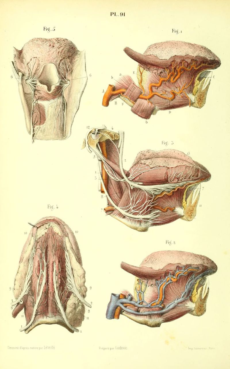 Dessiné dapr< réparé par lilldOVIC