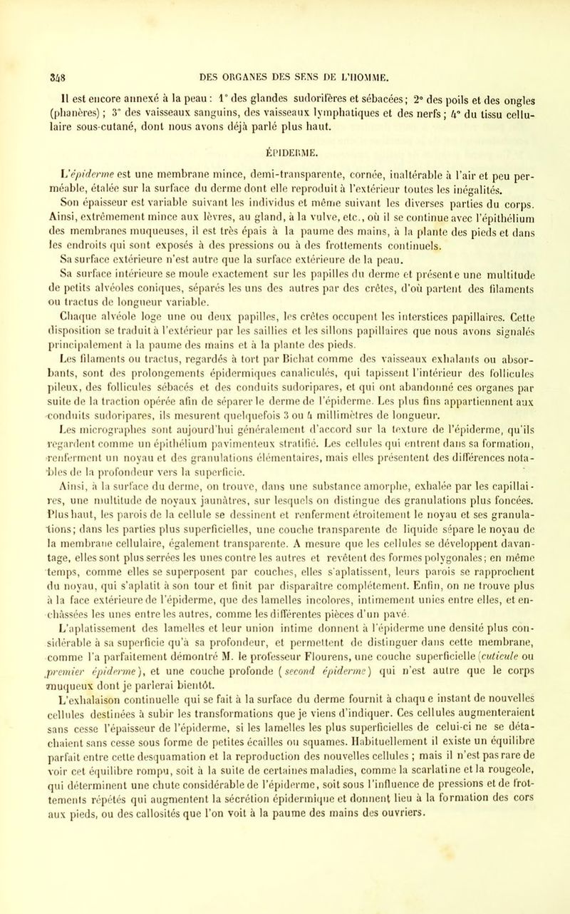 Il est encore annexé à la peau : 1° des glandes sudoril'ères et sébacées; 2° des poils et des ongles (phanères) ; 3” des vaisseaux sanguins, des vaisseaux lymphatiques et des nerfs ; 4° du tissu cellu- laire sous-cutané, dont nous avons déjà parlé plus haut. ÉPIDERME. L'épiderme est une membrane mince, demi-transparente, cornée, inaltérable à l’air et peu per- méable, étalée sur la surface du derme dont elle reproduit à l’extérieur toutes les inégalités. Son épaisseur est variable suivant les individus et même suivant les diverses parties du corps. Ainsi, extrêmement mince aux lèvres, au gland, à la vulve, etc., où il se continue avec l’épithélium des membranes muqueuses, il est très épais à la paume des mains, à la plante des pieds et dans les endroits qui sont exposés à des pressions ou à des frottements continuels. Sa surface extérieure n’est autre que la surface extérieure de la peau. Sa surface intérieure se moule exactement sur les papilles du derme et présente une multitude de petits alvéoles coniques, séparés les uns des autres par des crêtes, d’où partent des filaments ou tractus de longueur variable. Chaque alvéole loge une ou deux papilles, les crêtes occupent les interstices papillaires. Cette disposition se traduit à l’extérieur par les saillies et les sillons papillaires que nous avons signalés principalement à la paume des mains et à la plante des pieds. Les filaments ou tractus, regardés à tort par Bichat comme des vaisseaux exhalants ou absor- bants, sont des prolongements épidermiques canaliculés, qui tapissent l’intérieur des follicules pileux, des follicules sébacés et des conduits sudoripares, et qui ont abandonné ces organes par suite de la traction opérée afin de séparer le derme de l’épiderme. Les plus fins appartiennent aux -conduits sudoripares, ils mesurent quelquefois 3 ou 4 millimètres de longueur. Les micrographes sont aujourd’hui généralement d’accord sur la texture de l’épiderme, qu’ils regardent comme un épithélium pavimenteux stratifié. Les cellules qui entrent dans sa formation, •renferment un noyau et des granulations élémentaires, mais elles présentent des différences nota- ires de la profondeur vers la superficie. Ainsi, à la surface du derme, on trouve, dans une substance amorphe, exhalée par les capillai- res, une multitude de noyaux jaunâtres, sur lesquels on distingue des granulations plus foncées. Plus haut, les parois de la cellule se dessinent et renferment étroitement le noyau et ses granula- tions; dans les parties plus superficielles, une couche transparente de liquide sépare le noyau de la membrane cellulaire, également transparente. A mesure que les cellules se développent davan- tage, elles sont plus serrées les unes contre les autres et revêtent des formes polygonales; en même temps, comme elles se superposent par couches, elles s'aplatissent, leurs parois se rapprochent du noyau, qui s’aplatit à son tour et finit par disparaître complètement. Enfin, on ne trouve plus à la face extérieure de l’épiderme, que des lamelles incolores, intimement unies entre elles, et en- châssées les unes entre les autres, comme les différentes pièces d’un pavé. L’aplatissement des lamelles et leur union intime donnent à l’épiderme une densité plus con- sidérable à sa superficie qu’à sa profondeur, et permettent de distinguer dans cette membrane, comme l’a parfaitement démontré M. le professeur Flourens, une couche superficielle [cuticule ou premier épidn-me), et une couche profonde (second épiderme) qui n’est autre que le corps muqueux dont je parlerai bientôt. L’exhalaison continuelle qui se fait à la surface du derme fournit à chaqu e instant de nouvelles cellules destinées à subir les transformations que je viens d’indiquer. Ces cellules augmenteraient sans cesse l’épaisseur de l’épiderme, si les lamelles les plus superficielles de celui-ci ne se déta- chaient sans cesse sous forme de petites écailles ou squames. Habituellement il existe un équilibre parfait entre cette desquamation et la reproduction des nouvelles cellules ; mais il n’est pas rare de voir cet équilibre rompu, soit à la suite de certaines maladies, comme la scarlatine et la rougeole, qui déterminent une chute considérable de l’épiderme, soit sous l’influence de pressions et de frot- tements répétés qui augmentent la sécrétion épidermique et donnent lieu à la formation des cors aux pieds, ou des callosités que l’on voit à la paume des mains des ouvriers.