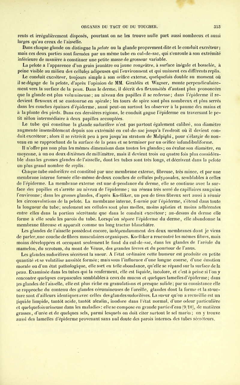 rents et irrégulièrement disposés, pourtant on ne les trouve nulle part aussi nombreux et aussi larges qu’au creux de l’aisselle. Dans chaque glande on distingue la pelote ou la glande proprement dite et le conduit excréteur; mais ces deux parties sont formées par un même tube en cul-de-sac, qui s’enroule à son extrémité inférieure de manière à constituer une petite masse de grosseur variable. La pelote a l’apparence d’un grain jaunâtre ou jaune rougeâtre, à surface inégale et bosselée, à peine visible au milieu des cellules adipeuses qui l’environnent et qui unissent ces différents replis. Le conduit excréteur, toujours simple à son orifice externe, quelquefois double au moment où il se dégage de la pelote, d’après l’opinion de MM. Giraldès et Wagner, monte perpendiculaire- ment vers la surface de la peau. Dans le derme, il décrit des flexuosités d’autant plus prononcées que la glande est plus volumineuse ; au niveau des papilles il se redresse; dans l’épiderme il re- devient flexueux et se contourne en spirale; les tours de spire sont plus nombreux et plus serrés dans les couches épaisses d’épiderme, aussi peut-on surtout les observer à la paume des mains et à la plante des pieds. Dans ces dernières régions, le conduit gagne l’épiderme en traversant le pe- tit sillon intermédiaire à deux papilles accouplées. Le tube qui constitue la glande sudorifère n’est pas partout également calibré, son diamètre augmente insensiblement depuis son extrémité en cul-de-sac jusqu’à l’endroit où il devient con- duit excréteur ; alors il se rétrécit peu à peu jusqu’au stratum de Malpighi, pour s’élargir de nou- veau en se rapprochant de la surface de la peau et se terminer par un orifice infundibuliforme. Il n’offre pas non plus les mêmes dimensions dans toutes les glandes; on évalue son diamètre, en moyenne, à un ou deux dixièmes de millimètre, mais il devient trois ou quatre fois plus considéra- ble dans les grosses glandes de l’aisselle, dont les tubes sont très longs, et décrivent dans la pelote un plus grand nombre de replis. Chaque tube sudorifère est constitué par une membrane externe, fibreuse, très mince, et par une membrane interne formée elle-même de deux couches de cellules polygonales, semblables à celles de l’épiderme. La membrane externe est une dépendance du derme, elle se continue avec la sur- face des papilles et s’arrête au niveau de l’épiderme; un réseau très serré de capillaires sanguins l’environne; dans les grosses glandes, d’après Koelliker, un peu de tissu fibreux sert aussi à réunir les circonvolutions de la pelote. La membrane interne, fournie par l’épiderme, s’étend dans toute la longueur du tube; seulement ses cellules sont plus molles, moins aplaties et moins adhérentes entre elles dans la portion sécrétante que dans le conduit excréteur; au-dessus du derme elle forme à elle seule les parois du tube. Lorsqu’on sépare l’épiderme du derme, elle abandonne la membrane fibreuse et apparaît comme un long tractus blanchâtre. Les glandes de l’aisselle possèdent encore, indépendamment des deux membranes dont je viens de parler,une couche de fibres musculaires organiques. Koelliker a rencontré les mêmes fibres, mais moins développées et occupant seulement le fond du cul-de-sac, dans les glandes de l’aréole du mamelon, du scrotum, du mont de Vénus, des grandes lèvres et du pourtour de l’anus. Les glandes sudorifères sécrètent la sueur. A l’état ordinaire cette humeur est produite en petite quantité et se volatilise aussitôt formée; mais sous l’influence d’une longue course, d’une émotion morale ou d’un état pathologique, elle sort en telle abondance, qu’elle se répand sur la surface de la peau. Examinée dans les tubes qui la renferment, elle est liquide, incolore, et c’est à peine si l’on y rencontre quelques corpuscules semblables à ceux du mucus et quelques lamellesd’épiderme; dans les glandes de l’aisselle, elle est plus riche en granulations et presque solide ; par sa consistance elle se rapproche du contenu des glandes cérumineuses de l’oreille, glandes dont la forme et la struc- ture sont d’ailleurs identiques avec celles des glandes sudorifères. La sueur qu’on a recueillie est un liquide limpide, tantôt acide, tantôt alcalin, inodore dans l'état normal, d’une odeur particulière et quelquefoisurineuse dans les maladies: ellese compose en grande partied’eau (9/10), de matières grasses, d’urée et de quelques sels, parmi lesquels on doit citer surtout le sel marin ; on y trouve aussi des lamelles d’épiderme provenant sans nul doute des parois internes des tubes sécréteurs.