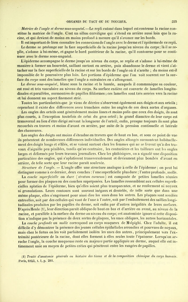 Matrice de l'ongle et derme sous-unguéal.—Le repli cutané dans lequel est contenue la racine con- stitue la matrice de l’ongle. C’est un sillon curviligne qui s’étend en arrière aussi loin que la ra- cine, et qui devient de moins en moins profond à mesure qu’il s’avance sur les bords. Il est important de bien connaître les connexions de l’ongle avec le derme et l’épiderme de ce repli. Le derme se prolonge sur la face superficielle de la racine jusqu’au niveau du corps ; là il se re- plie, s’adosse à lui-même, et gagne le bord postérieur de la racine, qu’il contourne pour se conti- nuer avec le derme sous-unguéal. L’épiderme accompagne le derme jusqu’au niveau du corps, se replie et s’adosse à lui-même de manière à former un bourrelet, saillant surtout en arrière, puis abandonne le derme et vient s’at- tacher sur la face superficielle de la racine et sur les bords de l’ongle où il s’arrête ; du moins est-il impossible de le poursuivre plus loin. Les portions d’épiderme que l’on voit souvent sur la sur- face du corps sont des lamelles que l’ongle a entraînées en s’allongeant. Le derme sous-unguéal, blanc sous la racine et la lunule, auxquels il communique sa couleur, est rosé et très vasculaire au niveau du corps. Sa surface entière est couverte de lamelles longitu- dinales et parallèles, surmontées de .papilles filiformes ; ces lamelles sont très serrées vers la racine et lui donnent un aspect finement strié. Toutes les particularités que je viens de décrire s’observent également aux doigts et aux orteils ; cependant il existe des différences assez tranchées entre les ongles de ces deux sortes d’organes. Les ongles des orteils sont généralement moins lisses et moins polis que ceux des doigts, ils sont plus courts, à l’exception toutefois de celui du gros orteil ; le grand diamètre de leur corps est transversal au lieu d’être dirigé suivant la longueur de l’orteil; enfin, presque toujours ils sont plus recourbés en travers et moins d'avant en arrière, par suite de la pression continuelle et latérale des chaussures. Les ongles des doigts ont moins d’étendue en travers que de haut en bas, et sous ce point de vue ils présentent de nombreuses différences individuelles. Des ongles allongés surmontent habituelle- ment des doigts longs et effilés, et se voient surtout chez les femmes qui ne se livrent qu’à des tra- vaux d’aiguille peu pénibles, tandis qu’au contraire, les couturières et les tailleurs ont les ongles larges et déformés par leurs travaux journaliers. Chez les phthisiques, on a signalé une disposition particulière des ongles, qui s’aplatissent transversalement et deviennent plus bombés d’avant en arrière, de telle sorte que leur racine paraît soulevée. Structure de l'ongle. — L’ongle offre une structure analogue à celle de l’épiderme ; on peut lui distinguer comme à ce dernier, deux couches : l’une superficielle plusdure ; l’autre profonde, molle. La couche superficielle ou dure ( stratum corneum) est composée de petites lamelles réunies pour former des plaques ou des couches superposées. Les lamelles ressemblent aux cellules superfi- cielles aplaties de l’épiderme, bien qu’elles soient plus transparentes, et ne renferment ni noyaux ni granulations. Leurs contours sont souvent inégaux et dentelés, de telle sorte que dans une même plaque, elles s’engrènent pour ainsi dire les unes dans les autres. Les plaques sont soudées entreelles, soit par des cellules qui vont de l’une à l’autre, soit par l’emboîtement des saillies longi- tudinales produites par les papilles du derme, soit enfin par d’autres inégalités de leurs surfaces. D’après Henle (1), leur direction paraît oblique de haut en bas et d’arrière en avant, au niveau de la racine, et parallèle à la surface du derme au niveau du corps; cet anatomiste ignore si cette disposi- tion n’indique pas la présence de deux sortes de plaques, les unes obliques, les autres horizontales. La couche profonde ou molle correspond au corps muqueux de Malpighi. Chez l’adulte, il est difficile d’y démontrer la présence des jeunes cellules épithéliales arrondies et pourvues de noyaux, mais chez le fœtus on les voit parfaitement isolées les unes des autres, principalement vers l’ex- trémité postérieure de la racine, dont elles forment à elles seules toute l’épaisseur. Lorsqu’on ar- rache l’ongle, la couche muqueuse reste en majeure partie appliquée au derme, auquel elle est in- timement unie au moyen de petites crêtes qui pénètrent entre les rangées de papilles. (1) Traité d’anatomie générale ou histoire des tissus et de la composition chimique du corps humain. Paris, 1843, t. I, p. 281.