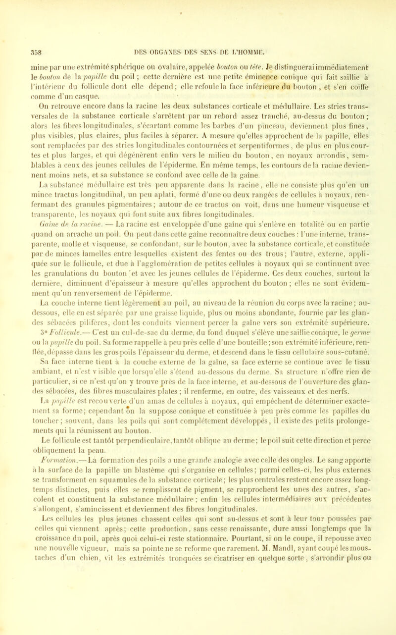 mine par une extrémité sphérique ou ovalaire, appelée bouton ou tête. Je distinguerai immédiatement le bouton de la papille du poil ; cette dernière est une petite éminence conique qui fait saillie à l’intérieur du follicule dont elle dépend; elle refoule la face inférieure du bouton, et s’en coiffe comme d’un casque. On retrouve encore dans la racine les deux substances corticale et médullaire. Les stries trans- versales de la substance corticale s’arrêtent par un rebord assez tranché, au-dessus du bouton; alors les fibres longitudinales, s’écartant comme les barbes d’un pinceau, deviennent plus fines, plus visibles, plus claires, plus faciles à séparer. A mesure qu’elles approchent de la papille, elles sont remplacées par des stries longitudinales contournées et serpentiformes , de plus en plus cour- tes et plus larges, et qui dégénèrent enfin vers le milieu du bouton, en noyaux arrondis, sem- blables à ceux des jeunes cellules de l’épiderme. En même temps, les contours de la racine devien- nent moins nets, et sa substance se confond avec celle de la gaine. La substance médullaire est très peu apparente dans la racine, elle ne consiste plus qu’en un mince tractus longitudinal, un peu aplati, formé d’une ou deux rangées de cellules à noyaux, ren- fermant des granules pigmentaires; autour de ce tractus on voit, dans une humeur visqueuse et transparente, les noyaux qui font suite aux fibres longitudinales. Gaine de la racine. — La racine est enveloppée d’une gaine qui s’enlève en totalité ou en partie quand on arrache un poil. On peut dans cette gaine reconnaître deux couches : l’une interne, trans- parente, molle et visqueuse, se confondant, sur le bouton, avec la substance corticale, et constituée par de minces lamelles entre lesquelles existent des fentes ou dos trous; l’autre, externe, appli- quée sur le follicule, et due à l’agglomération de petites cellules à noyaux qui se continuent avec les granulations du bouton 'et avec les jeunes cellules de l’épiderme. Ces deux couches, surtout la dernière, diminuent d’épaisseur à mesure qu’elles approchent du bouton ; elles ne sont évidem- ment qu’un renversement de l’épiderme. La couche interne tient légèrement au poil, au niveau de la réunion du corps avec la racine; au- dessous, elle en est séparée par une graisse liquide, plus ou moins abondante, fournie par les glan- des sébacées pilifères, dont les conduits viennent percer la gaine vers son extrémité supérieure. 3° Follicule.— C’est un cul-de-sac du derme, du fond duquel s’élève une saillie conique, le germe ou la papille du poil. Sa forme rappelle à peu près celle d’une bouteille; son extrémité inférieure, ren- flée,dépasse dans les gros poils l’épaisseur du derme, et descend dans le tissu cellulaire sous-cutané. Sa face interne tient à la couche externe de la gaine, sa face externe se continue avec le tissu ambiant, et n’est v isible que lorsqu’elle s’étend au-dessous du derme. Sa structure n’offre rien de particulier, si ce n’est qu’on y trouve près de la face interne, et au-dessous de l’ouverture des glan- des sébacées, des fibres musculaires plates ; il renferme, en outre, des vaisseaux et des nerfs. La papille est recouverte d’un amas de cellules à noyaux, qui empêchent de déterminer exacte- ment sa forme; cependant ôn la suppose conique et constituée à peu près comme les papilles du toucher; souvent, dans les poils qui sont complètement développés, il existe des petits prolonge- ments qui la réunissent au bouton. Le follicule est tantôt perpendiculaire, tantôt oblique au derme; le poil suit cette direction et perce obliquement la peau. Formation.—La formation des poils a une grande analogie avec celle des ongles. Le sang apporte à la surface de la papille un blastème qui s’organise en cellules; parmi celles-ci, les plus externes se transforment en squamules delà substance corticale; les plus centrales restent encore assez long- temps distinctes, puis elles se remplissent de pigment, se rapprochent les unes des autres, s’ac- colent et constituent la substance médullaire; enfin les cellules intermédiaires aux précédentes s’allongent, s’amincissent et deviennent des fibres longitudinales. Les cellules les plus jeunes chassent celles qui sont au-dessus et sont à leur tour poussées par celles qui viennent après; celte production, sans cesse renaissante, dure aussi longtemps que la croissance du poil, après quoi celui-ci reste stationnaire. Pourtant, si on le coupe, il repousse avec une nouvelle vigueur, mais sa pointe ne se reforme que rarement. M. Mandl, ayant coupé les mous- taches d’un chien, vit les extrémités tronquées se cicatriser en quelque sorte , s’arrondir plus ou
