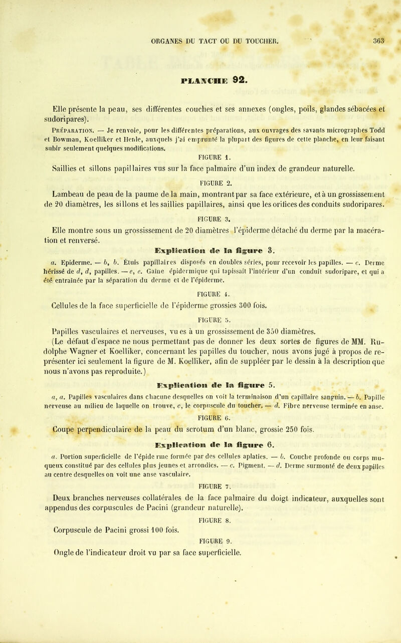 PLANCHE 92. Elle présente la peau, ses différentes couches et ses annexes (ongles, poils, glandes sébacées et sudoripares). Préparation. — Je renvoie, pour les différentes préparations, aux ouvrages des savants micrographes Todd et Bowman, Koelliker et Herde, auxquels j’ai emprunté la plupart des figures de cette planche,, en leur faisant subir seulement quelques modifications. FIGURE 1. Saillies et sillons papillaires vus sur la face palmaire d’un index de grandeur naturelle. FIGURE 2. Lambeau de peau de la paume de la main, montrant par sa face extérieure, et à un grossissement de 20 diamètres, les sillons et les saillies papillaires, ainsi que les orifices des conduits sudoripares. FIGURE 3. Elle montre sous un grossissement de 20 diamètres l’épiderme détaché du derme par la macéra- tion et renversé. Explication «le la ligure 3. a. Epiderme. — b, b. Étuis papillaires disposés en doubles séries, pour recevoir les papilles. — c. Derme hérissé de d, d, papilles. —e, e. Gaine épidermique qui tapissait l’intérieur d’un conduit sudoripare, et qui a été: entraînée par la séparation du derme et de l’épiderme. FIGURE 4. Cellules de la face superficielle de l’épiderme grossies 300 fois. FIGURE 5. Papilles vasculaires et nerveuses, vu es à un grossissement de 350 diamètres. (Le défaut d’espace ne nous permettant pas de donner les deux sortes de figures de MM. Ru- dolphe Wagner et Koelliker, concernant les papilles du toucher, nous avons jugé à propos de re- présenter ici seulement la figure de M. Koelliker, afin de suppléer par le dessin à la description que nous n’avons pas reproduite. ) Explicatiosi «le la figure 5. a, a. Papilles vasculaires dans chacune desquelles on voit la terminaison d’un capillaire sanguin. — b. Papille nerveuse au milieu de laquelle on trouve, c, le corpuscule du toucher. — d. Fibre nerveuse terminée en anse. FIGUÎRE 6. Coupe perpendiculaire de la peau' du scrotum d’un blanc, grossie 250 fois. Fxitlieafion «le la ligure 6. a. Portion superficielle de l’épide nne formée par des cellules aplaties. — b. Couche profonde ou corps mu- queux constitué par des cellules plus jeunes et arrondies. — c. Pigment. —d. Derme surmonté de deux papilles au centre desquelles on voit une anse vasculaire. FIGURE 7. Deux branches nerveuses collatérales de la face palmaire du doigt indicateur, auxquelles sont appendusdes corpuscules de Pacini (grandeur naturelle). FIGURE 8. Corpuscule de Pacini grossi 100 fois. FIGURE 9. Ongle de l’indicateur droit vu par sa face superficielle.