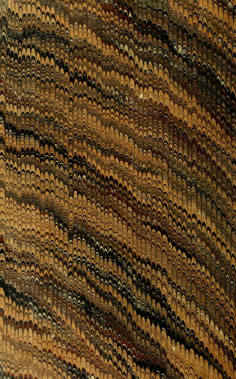 »4 w 'SaVSSaa ' SfcWâaSllft' ■NXtk'sm nhf'fk