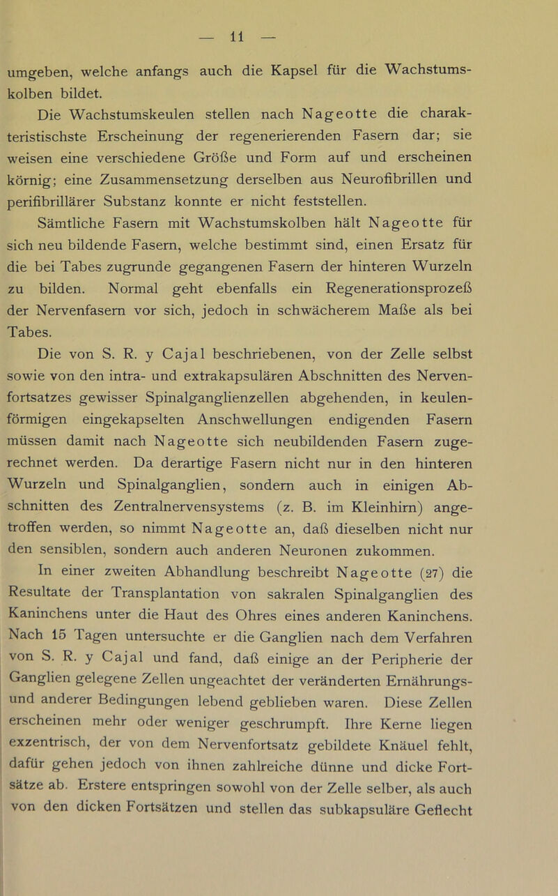 umgeben, welche anfangs auch die Kapsel für die Wachstums- kolben bildet. Die Wachstumskeulen stellen nach Nageotte die charak- teristischste Erscheinung der regenerierenden Fasern dar; sie weisen eine verschiedene Größe und Form auf und erscheinen körnig; eine Zusammensetzung derselben aus Neurofibrillen und perifibrillärer Substanz konnte er nicht feststellen. Sämtliche Fasern mit Wachstumskolben hält Nageotte für sich neu bildende Fasern, welche bestimmt sind, einen Ersatz für die bei Tabes zugrunde gegangenen Fasern der hinteren Wurzeln zu bilden. Normal geht ebenfalls ein Regenerationsprozeß der Nervenfasern vor sich, jedoch in schwächerem Maße als bei Tabes. Die von S. R. y Cajal beschriebenen, von der Zelle selbst sowie von den intra- und extrakapsulären Abschnitten des Nerven- fortsatzes gewisser Spinalganglienzellen abgehenden, in keulen- förmigen eingekapselten Anschwellungen endigenden Fasern müssen damit nach Nageotte sich neubildenden Fasern zuge- rechnet werden. Da derartige Fasern nicht nur in den hinteren Wurzeln und Spinalganglien, sondern auch in einigen Ab- schnitten des Zentralnervensystems (z. B. im Kleinhirn) ange- troffen werden, so nimmt Nageotte an, daß dieselben nicht nur den sensiblen, sondern auch anderen Neuronen zukommen. In einer zweiten Abhandlung beschreibt Nageotte (27) die Resultate der Transplantation von sakralen Spinalganglien des Kaninchens unter die Haut des Ohres eines anderen Kaninchens. Nach 15 lagen untersuchte er die Ganglien nach dem Verfahren von S. R. y Cajal und fand, daß einige an der Peripherie der Ganglien gelegene Zellen ungeachtet der veränderten Ernährungs- und anderer Bedingungen lebend geblieben waren. Diese Zellen erscheinen mehr oder weniger geschrumpft. Ihre Kerne liegen exzentrisch, der von dem Nervenfortsatz gebildete Knäuel fehlt, dafür gehen jedoch von ihnen zahlreiche dünne und dicke Fort- sätze ab. Erstere entspringen sowohl von der Zelle selber, als auch von den dicken Fortsätzen und stellen das subkapsuläre Geflecht