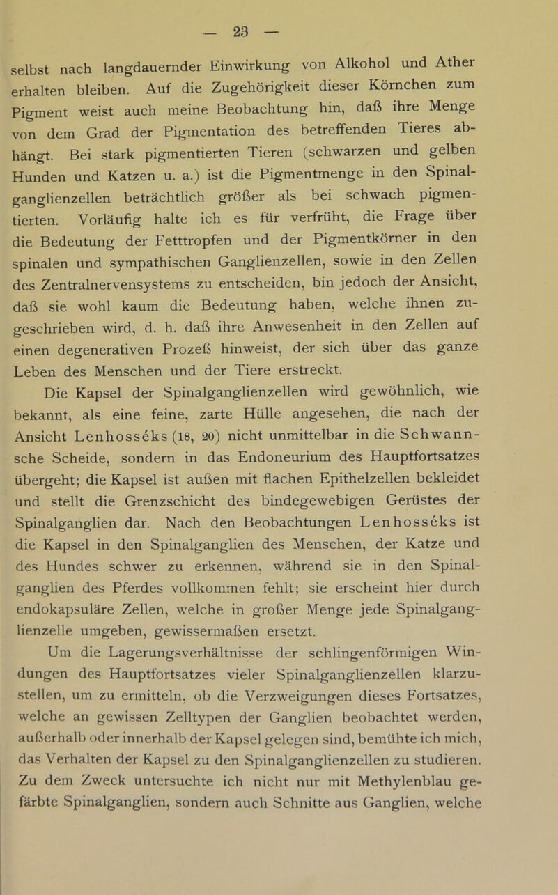 selbst nach langdauernder Einwirkung von Alkohol und Äther erhalten bleiben. Auf die Zugehörigkeit dieser Körnchen zum Pigment weist auch meine Beobachtung hin, daß ihre Menge von dem Grad der Pigmentation des betreffenden Tieres ab- hängt. Bei stark pigmentierten Tieren (schwarzen und gelben Hunden und Katzen u. a.) ist die Pigmentmenge in den Spinal- ganglienzellen beträchtlich größer als bei schwach pigmen- tierten. Vorläufig halte ich es für verfrüht, die Frage über die Bedeutung der Fetttropfen und der Pigmentkörner in den spinalen und sympathischen Ganglienzellen, sowie in den Zellen des Zentralnervensystems zu entscheiden, bin jedoch der Ansicht, daß sie wohl kaum die Bedeutung haben, welche ihnen zu- geschrieben wird, d. h. daß ihre Anwesenheit in den Zellen auf einen degenerativen Prozeß hinweist, der sich über das ganze Leben des Menschen und der Tiere erstreckt. Die Kapsel der Spinalganglienzellen wird gewöhnlich, wie bekannt, als eine feine, zarte Hülle angesehen, die nach der Ansicht Lenhosseks (18, 20) nicht unmittelbar in die Schwann- sche Scheide, sondern in das Endoneurium des Hauptfortsatzes übergeht; die Kapsel ist außen mit flachen Epithelzellen bekleidet und stellt die Grenzschicht des bindegewebigen Gerüstes der Spinalganglien dar. Nach den Beobachtungen Lenhosseks ist die Kapsel in den Spinalganglien des Menschen, der Katze und des Hundes schwer zu erkennen, während sie in den Spinal- ganglien des Pferdes vollkommen fehlt; sie erscheint hier durch endokapsuläre Zellen, welche in großer Menge jede Spinalgang- lienzelle umgeben, gewissermaßen ersetzt. Um die Lagerungsverhältnisse der schlingenförmigen Win- dungen des Hauptfortsatzes vieler Spinalganglienzellen klarzu- stellen, um zu ermitteln, ob die Verzweigungen dieses Fortsatzes, welche an gewissen Zelltypen der Ganglien beobachtet werden, außerhalb oder innerhalb der Kapsel gelegen sind, bemühte ich mich, das Verhalten der Kapsel zu den Spinalganglienzellen zu studieren. Zu dem Zweck untersuchte ich nicht nur mit Methylenblau ge- färbte Spinalganglien, sondern auch Schnitte aus Ganglien, welche