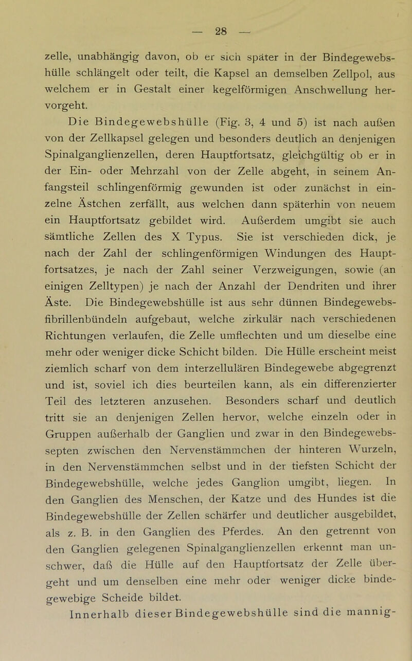 zelle, unabhängig davon, ob er sich später in der Bindegewebs- hülle schlängelt oder teilt, die Kapsel an demselben Zellpol, aus welchem er in Gestalt einer kegelförmigen Anschwellung her- vorgeht. Die Bindegewebshülle (Fig. 3, 4 und 5) ist nach außen von der Zellkapsel gelegen und besonders deutlich an denjenigen Spinalganglienzellen, deren Hauptfortsatz, gleichgültig ob er in der Ein- oder Mehrzahl von der Zelle abgeht, in seinem An- fangsteil schlingenförmig gewunden ist oder zunächst in ein- zelne Ästchen zerfällt, aus welchen dann späterhin von neuem ein Hauptfortsatz gebildet wird. Außerdem umgibt sie auch sämtliche Zellen des X Typus. Sie ist verschieden dick, je nach der Zahl der schlingenförmigen Windungen des Haupt- fortsatzes, je nach der Zahl seiner Verzweigungen, sowie (an einigen Zelltypen) je nach der Anzahl der Dendriten und ihrer Äste. Die Bindegewebshülle ist aus sehr dünnen Bindegewebs- fibrillenbündeln aufgebaut, welche zirkulär nach verschiedenen Richtungen verlaufen, die Zelle umflechten und um dieselbe eine mehr oder weniger dicke Schicht bilden. Die Hülle erscheint meist ziemlich scharf von dem interzellulären Bindegewebe abgegrenzt und ist, soviel ich dies beurteilen kann, als ein differenzierter Teil des letzteren anzusehen. Besonders scharf und deutlich tritt sie an denjenigen Zellen hervor, welche einzeln oder in Gruppen außerhalb der Ganglien und zwar in den Bindegewebs- septen zwischen den Nervenstämmchen der hinteren Wurzeln, in den Nervenstämmchen selbst und in der tiefsten Schicht der Bindegewebshülle, welche jedes Ganglion umgibt, liegen. In den Ganglien des Menschen, der Katze und des Hundes ist die Bindegewebshülle der Zellen schärfer und deutlicher ausgebildet, als z. B. in den Ganglien des Pferdes. An den getrennt von den Ganglien gelegenen Spinalganglienzellen erkennt man un- schwer, daß die Hülle auf den Hauptfortsatz der Zelle über- geht und um denselben eine mehr oder weniger dicke binde- gewebige Scheide bildet. Innerhalb dieser Bindegewebshülle sind die mannig-