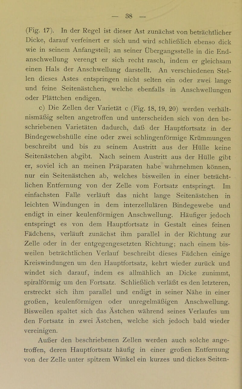 (Fig. 17). In der Regel ist dieser Ast zunächst von beträchtlicher Dicke, darauf verfeinert er sich und wird schließlich ebenso dick wie in seinem Anfangsteil; an seiner Übergangsstelle in die End- anschwellung verengt er sich recht rasch, indem er gleichsam einen Hals der Anschwellung darstellt. An verschiedenen Stel- len dieses Astes entspringen nicht selten ein oder zwei lange und feine Seitenästchen, welche ebenfalls in Anschwellungen oder Plättchen endigen. c) Die Zellen der Varietät c (Fig. 18, 19, 20) werden verhält- nismäßig selten angetroffen und unterscheiden sich von den be- schriebenen Varietäten dadurch, daß der Hauptfortsatz in der Bindegewebshülle eine oder zwei schlingenförmige Krümmungen beschreibt und bis zu seinem Austritt aus der Hülle keine Seitenästchen abgibt. Nach seinem Austritt aus der Hülle gibt er, soviel ich an meinen Präparaten habe wahrnehmen können, nur ein Seitenästchen ab, welches bisweilen in einer beträcht- lichen Entfernung von der Zelle vom Fortsatz entspringt. Im einfachsten Falle verläuft das nicht lange Seitenästchen in leichten Windungen in dem interzellulären Bindegewebe und endigt in einer keulenförmigen Anschwellung. Häufiger jedoch entspringt es von dem Hauptfortsatz in Gestalt eines feinen Fädchens, verläuft zunächst ihm parallel in der Richtung zur Zelle oder in der entgegengesetzten Richtung; nach einem bis- weilen beträchtlichen Verlauf beschreibt dieses Fädchen einige Kreiswindungen um den Hauptfortsatz, kehrt wieder zurück und windet sich darauf, indem es allmählich an Dicke zunimmt, spiralförmig um den Fortsatz. Schließlich verläßt es den letzteren, erstreckt sich ihm parallel und endigt in seiner Nähe in einer großen, keulenförmigen oder unregelmäßigen Anschwellung. Bisweilen spaltet sich das Ästchen während seines Verlaufes um den Fortsatz in zwei Ästchen, welche sich jedoch bald wieder vereinigen. Außer den beschriebenen Zellen werden auch solche ange- troffen, deren Hauptfortsatz häufig in einer großen Entfernung von der Zelle unter spitzem Winkel ein kurzes und dickes Seiten-
