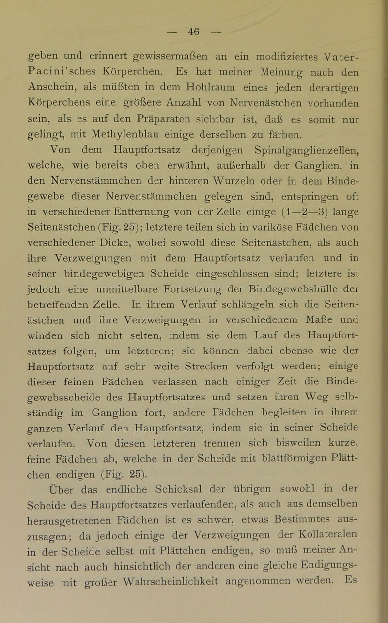 geben und erinnert gewissermaßen an ein modifiziertes Vater- Pacini’sches Körperchen. Es hat meiner Meinung nach den Anschein, als müßten in dem Hohlraum eines jeden derartigen Körperchens eine größere Anzahl von Nervenästchen vorhanden sein, als es auf den Präparaten sichtbar ist, daß es somit nur gelingt, mit Methylenblau einige derselben zu färben. Von dem Hauptfortsatz derjenigen Spinalganglienzellen, welche, wie bereits oben erwähnt, außerhalb der Ganglien, in den Nervenstämmchen der hinteren Wurzeln oder in dem Binde- gewebe dieser Nervenstämmchen gelegen sind, entspringen oft in verschiedener Entfernung von der Zelle einige (1—2—3) lange Seitenästchen (Fig. 25); letztere teilen sich in variköse Fädchen von verschiedener Dicke, wobei sowohl diese Seitenästchen, als auch ihre Verzweigungen mit dem Hauptfortsatz verlaufen und in seiner bindegewebigen Scheide eingeschlossen sind; letztere ist jedoch eine unmittelbare Fortsetzung der Bindegewebshülle der betreffenden Zelle. In ihrem Verlauf schlängeln sich die Seiten- ästchen und ihre Verzweigungen in verschiedenem Maße und winden sich nicht selten, indem sie dem Lauf des Hauptfort- satzes folgen, um letzteren; sie können dabei ebenso wie der Hauptfortsatz auf sehr weite Strecken verfolgt werden; einige dieser feinen Fädchen verlassen nach einiger Zeit die Binde- gewebsscheide des Hauptfortsatzes und setzen ihren Weg selb- ständig im Ganglion fort, andere Fädchen begleiten in ihrem ganzen Verlauf den Hauptfortsatz, indem sie in seiner Scheide verlaufen. Von diesen letzteren trennen sich bisweilen kurze, feine Fädchen ab, welche in der Scheide mit blattförmigen Plätt- chen endigen (Fig. 25). Über das endliche Schicksal der übrigen sowohl in der Scheide des Hauptfortsatzes verlaufenden, als auch aus demselben herausgetretenen Fädchen ist es schwer, etwas Bestimmtes aus- zusagen; da jedoch einige der Verzweigungen der Kollateralen in der Scheide selbst mit Plättchen endigen, so muß meiner An- sicht nach auch hinsichtlich der anderen eine gleiche Endigungs- weise mit großer Wahrscheinlichkeit angenommen werden. Es