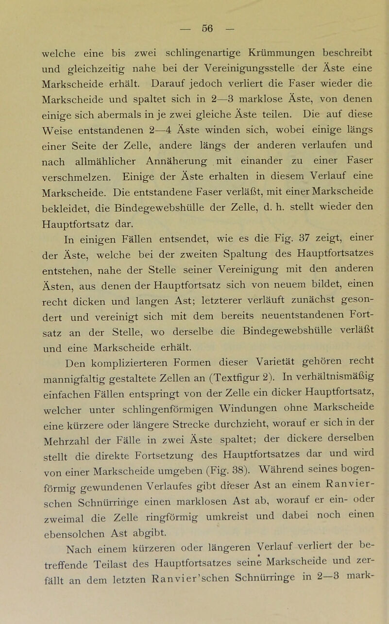 welche eine bis zwei schlingenartige Krümmungen beschreibt und gleichzeitig nahe bei der Vereinigungsstelle der Äste eine Markscheide erhält. Darauf jedoch verliert die Faser wieder die Markscheide und spaltet sich in 2—3 marklose Äste, von denen einige sich abermals in je zwei gleiche Äste teilen. Die auf diese Weise entstandenen 2—4 Äste winden sich, wobei einige längs einer Seite der Zelle, andere längs der anderen verlaufen und nach allmählicher Annäherung mit einander zu einer Faser verschmelzen. Einige der Äste erhalten in diesem Verlauf eine Markscheide. Die entstandene Faser verläßt, mit einer Markscheide bekleidet, die Bindegewebshülle der Zelle, d. h. stellt wieder den Hauptfortsatz dar. In einigen Fällen entsendet, wie es die Fig. 37 zeigt, einer der Äste, welche bei der zweiten Spaltung des Hauptfortsatzes entstehen, nahe der Stelle seiner Vereinigung mit den anderen Ästen, aus denen der Hauptfortsatz sich von neuem bildet, einen recht dicken und langen Ast; letzterer verläuft zunächst geson- dert und vereinigt sich mit dem bereits neuentstandenen Fort- satz an der Stelle, wo derselbe die Bindegewebshülle verläßt und eine Markscheide erhält. Den komplizierteren Formen dieser Varietät gehören recht mannigfaltig gestaltete Zellen an (Textfigur 2). In verhältnismäßig einfachen Fällen entspringt von der Zelle ein dicker Hauptfortsatz, welcher unter schlingenförmigen Windungen ohne Markscheide eine kürzere oder längere Strecke durchzieht, worauf er sich in der Mehrzahl der Fälle in zwei Äste spaltet; der dickere derselben stellt die direkte Fortsetzung des Hauptfortsatzes dar und wird von einer Markscheide umgeben (Fig. 38). Während seines bogen- förmig gewundenen Verlaufes gibt dieser Ast an einem Ranvier- schen Schnürringe einen marklosen Ast ab, worauf er ein- oder zweimal die Zelle ringförmig umkreist und dabei noch einen ebensolchen Ast abgibt. Nach einem kürzeren oder längeren Verlauf verliert der be- treffende Teilast des Hauptfortsatzes seine Markscheide und zer- fällt an dem letzten Ranvier’schen Schnürringe in 2—3 mark-