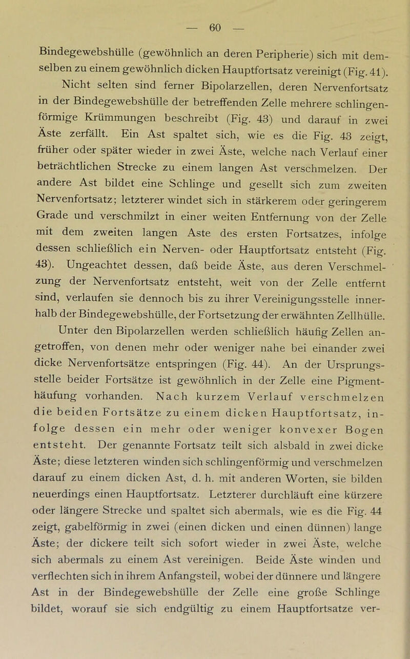 Bindegewebshülle (gewöhnlich an deren Peripherie) sich mit dem- selben zu einem gewöhnlich dicken Hauptfortsatz vereinigt (Fig. 41 j. Nicht selten sind ferner Bipolarzellen, deren Nervenfortsatz in der Bindegewebshülle der betreffenden Zelle mehrere sehlingen- förmige Krümmungen beschreibt (Fig. 43) und darauf in zwei Äste zerfällt. Ein Ast spaltet sich, wie es die Fig. 43 zeigt, früher oder später wieder in zwei Äste, welche nach Verlauf einer beträchtlichen Strecke zu einem langen Ast verschmelzen. Der andere Ast bildet eine Schlinge und gesellt sich zum zweiten Nervenfortsatz; letzterer windet sich in stärkerem oder geringerem Grade und verschmilzt in einer weiten Entfernung von der Zelle mit dem zweiten langen Aste des ersten Fortsatzes, infolge dessen schließlich ein Nerven- oder Hauptfortsatz entsteht (Fig. 43). Ungeachtet dessen, daß beide Äste, aus deren Verschmel- zung der Nervenfortsatz entsteht, weit von der Zelle entfernt sind, verlaufen sie dennoch bis zu ihrer Vereinigungsstelle inner- halb der Bindegewebshülle, der Fortsetzung der erwähnten Zellhülle. Unter den Bipolarzellen werden schließlich häufig Zellen an- getroffen, von denen mehr oder weniger nahe bei einander zwei dicke Nervenfortsätze entspringen (Fig. 44). An der Ursprungs- stelle beider Fortsätze ist gewöhnlich in der Zelle eine Pigment- häufung vorhanden. Nach kurzem Verlauf verschmelzen die beiden Fortsätze zu einem dicken Hauptfortsatz, in- folge dessen ein mehr oder weniger konvexer Bogen entsteht. Der genannte Fortsatz teilt sich alsbald in zwei dicke Äste; diese letzteren winden sich schlingenförmig und verschmelzen darauf zu einem dicken Ast, d. h. mit anderen Worten, sie bilden neuerdings einen Hauptfortsatz. Letzterer durchläuft eine kürzere oder längere Strecke und spaltet sich abermals, wie es die Fig. 44 zeigt, gabelförmig in zwei (einen dicken und einen dünnen) lange Äste; der dickere teilt sich sofort wieder in zwei Äste, welche sich abermals zu einem Ast vereinigen. Beide Äste winden und verflechten sich in ihrem Anfangsteil, wobei der dünnere und längere Ast in der Bindegewebshülle der Zelle eine große Schlinge bildet, worauf sie sich endgültig zu einem Hauptfortsatze ver-