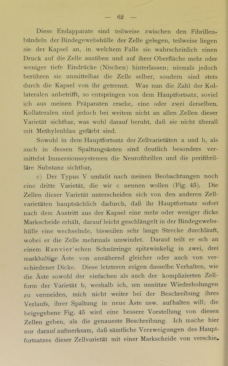 Diese Endapparate sind teilweise zwischen den Fibrillen- bündeln der Bindegewebshülle der Zelle gelegen, teilweise liegen sie der Kapsel an, in welchem Falle sie wahrscheinlich einen Druck auf die Zelle ausüben und auf ihrer Oberfläche mehr oder weniger tiefe Eindrücke (Nischen) hinterlassen; niemals jedoch berühren sie unmittelbar die Zelle selber, sondern sind stets durch die Kapsel von ihr getrennt. Was nun die Zahl der Kol- lateralen anbetrifft, so entspringen von dem Hauptfortsatz, soviel i.ch aus meinen Präparaten ersehe, eine oder zwei derselben. Kollateralen sind jedoch bei weitem nicht an allen Zellen dieser Varietät sichtbar, was wohl darauf beruht, daß sie nicht überall mit Methylenblau gefärbt sind. Sowohl in dem Hauptfortsatz der Zellvarietäten a und b, als auch in dessen Spaltungsästen sind deutlich besonders ver- mittelst Immersionssystemen die Neurofibrillen und die perifibril- läre Substanz sichtbar. c) Der Typus V umfaßt nach meinen Beobachtungen noch eine dritte Varietät, die wir c nennen wollen (Fig. 45). Die Zellen dieser Varietät unterscheiden sich von den anderen Zell- varietäten hauptsächlich dadurch, daß ihr Hauptfortsatz sofort nach dem Austritt aus der Kapsel eine mehr oder weniger dicke Markscheide erhält, darauf leicht geschlängelt in der Bindegewebs- hülle eine wechselnde, bisweilen sehr lange Strecke durchläuft, wobei er die Zelle mehrmals umwindet. Darauf teilt er sch an einem Ran vier'sehen Schntirringe spitzwinkelig in zwei, drei markhaltige Äste von annähernd gleicher oder auch von ver- schiedener Dicke. Diese letzteren zeigen dasselbe Verhalten, wie die Äste sowohl der einfachen als auch der komplizierten Zell- form der Varietät b, weshalb ich, um unnütze Wiederholungen zu vermeiden, mich nicht weiter bei der Beschreibung ihres Verlaufs, ihrer Spaltung in neue Äste usw. auf halten will; die beigegebene Fig. 45 wird eine bessere Vorstellung von diesen Zellen geben, als die genaueste Beschreibung. Ich mache hier nur darauf aufmerksam, daß sämtliche Verzweigungen des Haupt- fortsatzes dieser Zellvarietät mit einer Markscheide von verschie.