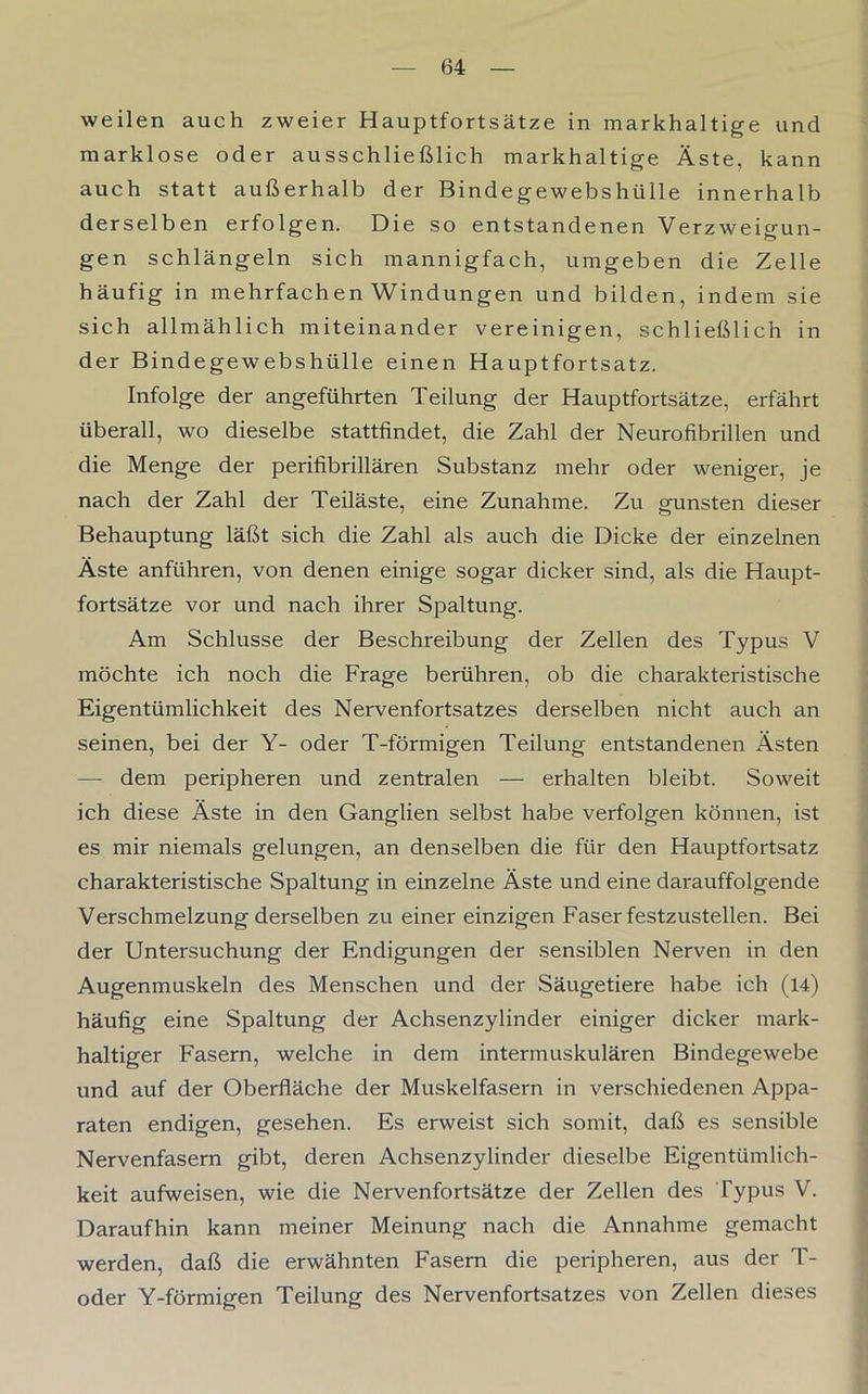 weilen auch zweier Hauptfortsätze in markhaltige und marklose oder ausschließlich markhaltige Äste, kann auch statt außerhalb der Bindegewebshülle innerhalb derselben erfolgen. Die so entstandenen Verzweigun- gen schlängeln sich mannigfach, umgeben die Zelle häufig in mehrfachen Windungen und bilden, indem sie sich allmählich miteinander vereinigen, schließlich in der Bindegewebshülle einen Hauptfortsatz. Infolge der angeführten Teilung der Hauptfortsätze, erfährt überall, wo dieselbe stattfindet, die Zahl der Neurofibrillen und die Menge der perifibrillären Substanz mehr oder weniger, je nach der Zahl der Teiläste, eine Zunahme. Zu gunsten dieser Behauptung läßt sich die Zahl als auch die Dicke der einzelnen Äste anführen, von denen einige sogar dicker sind, als die Haupt- fortsätze vor und nach ihrer Spaltung. Am Schlüsse der Beschreibung der Zellen des Typus V möchte ich noch die Frage berühren, ob die charakteristische Eigentümlichkeit des Nervenfortsatzes derselben nicht auch an seinen, bei der Y- oder T-förmigen Teilung entstandenen Ästen —- dem peripheren und zentralen — erhalten bleibt. Soweit ich diese Äste in den Ganglien selbst habe verfolgen können, ist es mir niemals gelungen, an denselben die für den Hauptfortsatz charakteristische Spaltung in einzelne Äste und eine darauffolgende Verschmelzung derselben zu einer einzigen Faser festzustellen. Bei der Untersuchung der Endigungen der sensiblen Nerven in den Augenmuskeln des Menschen und der Säugetiere habe ich (14) häufig eine Spaltung der Achsenzylinder einiger dicker mark- haltiger Fasern, welche in dem intermuskulären Bindegewebe und auf der Oberfläche der Muskelfasern in verschiedenen Appa- raten endigen, gesehen. Es erweist sich somit, daß es sensible Nervenfasern gibt, deren Achsenzylinder dieselbe Eigentümlich- keit aufweisen, wie die Nervenfortsätze der Zellen des Typus V. Daraufhin kann meiner Meinung nach die Annahme gemacht werden, daß die erwähnten Fasern die peripheren, aus der T- oder Y-förmigen Teilung des Nervenfortsatzes von Zellen dieses