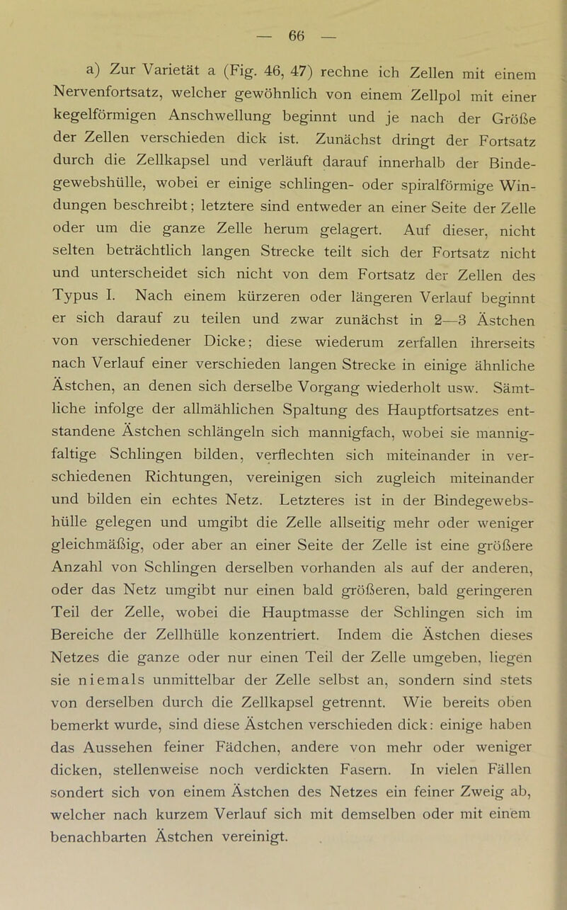 a) Zur Varietät a (Fig. 46, 47) rechne ich Zellen mit einem Nei venfortsatz, welcher gewöhnlich von einem Zellpol mit einer kegelförmigen Anschwellung beginnt und je nach der Größe der Zellen verschieden dick ist. Zunächst dringt der Fortsatz durch die Zellkapsel und verläuft darauf innerhalb der Binde- gewebshülle, wobei er einige schlingen- oder spiralförmige Win- dungen beschreibt; letztere sind entweder an einer Seite der Zelle oder um die ganze Zelle herum gelagert. Auf dieser, nicht selten beträchtlich langen Strecke teilt sich der Fortsatz nicht und unterscheidet sich nicht von dem Fortsatz der Zellen des Typus I. Nach einem kürzeren oder längeren Verlauf beginnt er sich darauf zu teilen und zwar zunächst in 2—3 Ästchen von verschiedener Dicke; diese wiederum zerfallen ihrerseits nach Verlauf einer verschieden langen Strecke in einige ähnliche Ästchen, an denen sich derselbe Vorgang wiederholt usw. Sämt- liche infolge der allmählichen Spaltung des Hauptfortsatzes ent- standene Ästchen schlängeln sich mannigfach, wobei sie mannig- faltige Schlingen bilden, verflechten sich miteinander in ver- schiedenen Richtungen, vereinigen sich zugleich miteinander und bilden ein echtes Netz. Letzteres ist in der Bindegewebs- hülle gelegen und umgibt die Zelle allseitig mehr oder weniger gleichmäßig, oder aber an einer Seite der Zelle ist eine größere Anzahl von Schlingen derselben vorhanden als auf der anderen, oder das Netz umgibt nur einen bald größeren, bald geringeren Teil der Zelle, wobei die Hauptmasse der Schlingen sich im Bereiche der Zellhülle konzentriert. Indem die Ästchen dieses Netzes die ganze oder nur einen Teil der Zelle umgeben, liegen sie niemals unmittelbar der Zelle selbst an, sondern sind stets von derselben durch die Zellkapsel getrennt. Wie bereits oben bemerkt wurde, sind diese Ästchen verschieden dick: einige haben das Aussehen feiner Fädchen, andere von mehr oder weniger dicken, stellenweise noch verdickten Fasern. In vielen Fällen sondert sich von einem Ästchen des Netzes ein feiner Zweig ab, welcher nach kurzem Verlauf sich mit demselben oder mit einem benachbarten Ästchen vereinigt.